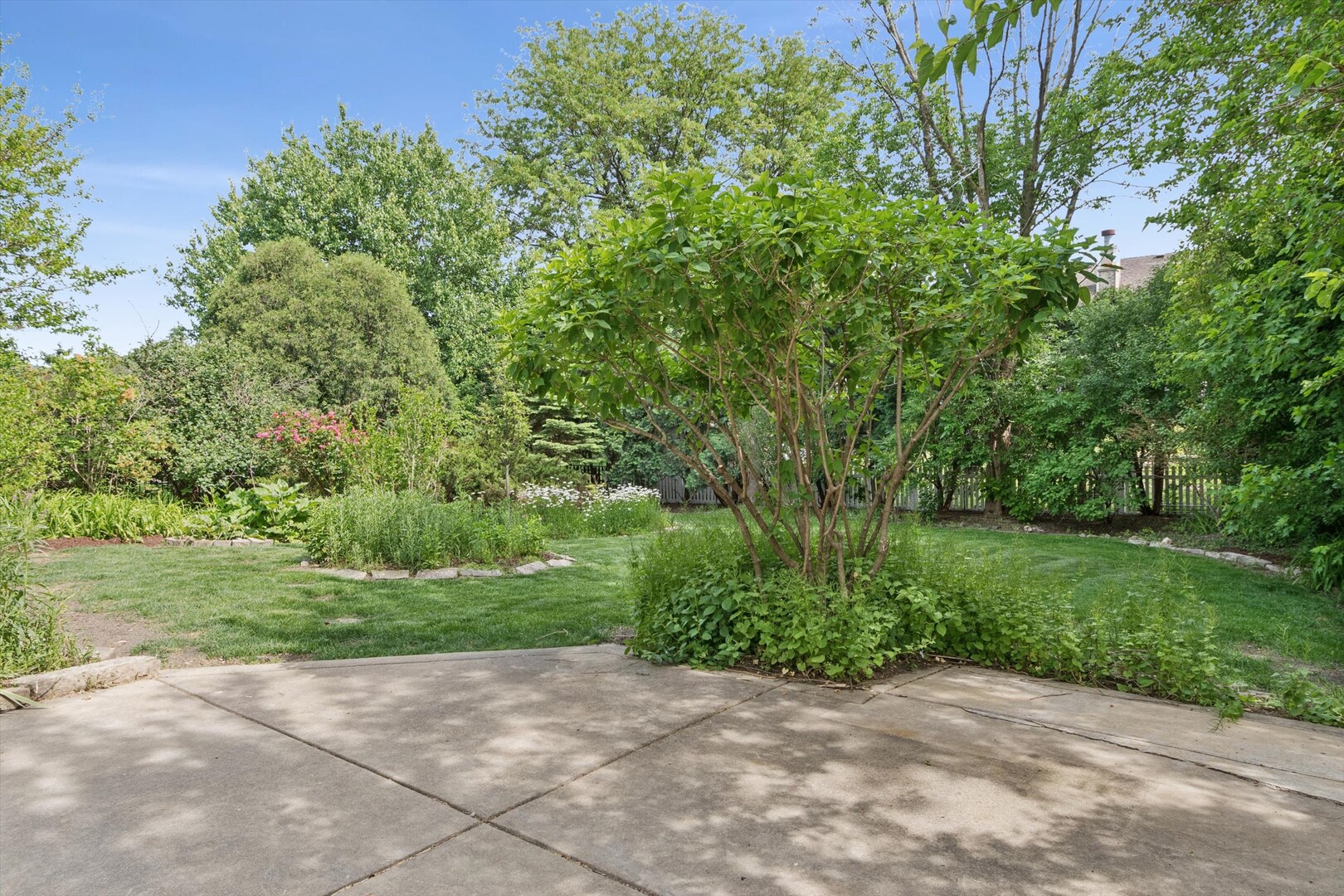 1246 Ardmore Drive