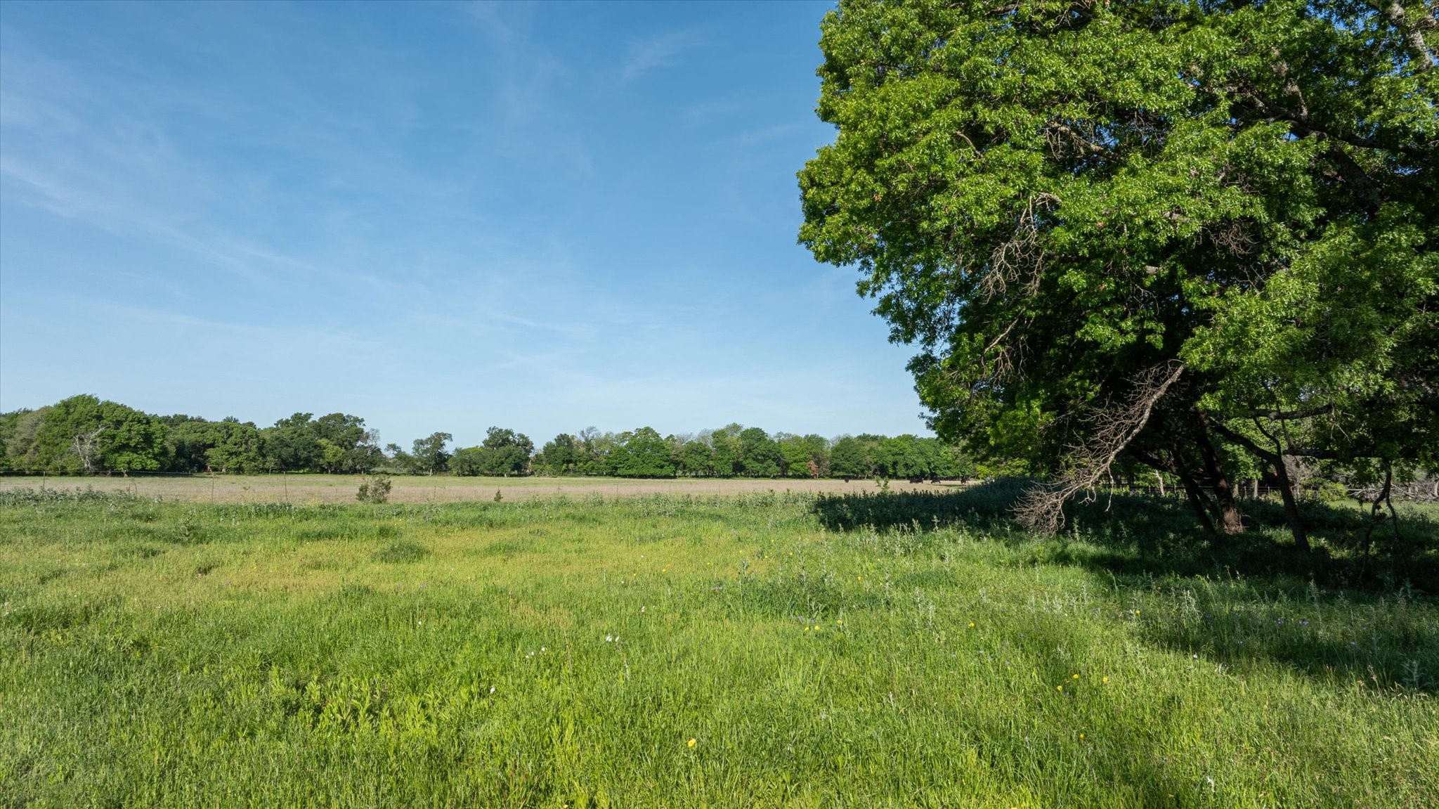 5054 Temple Hall Highway