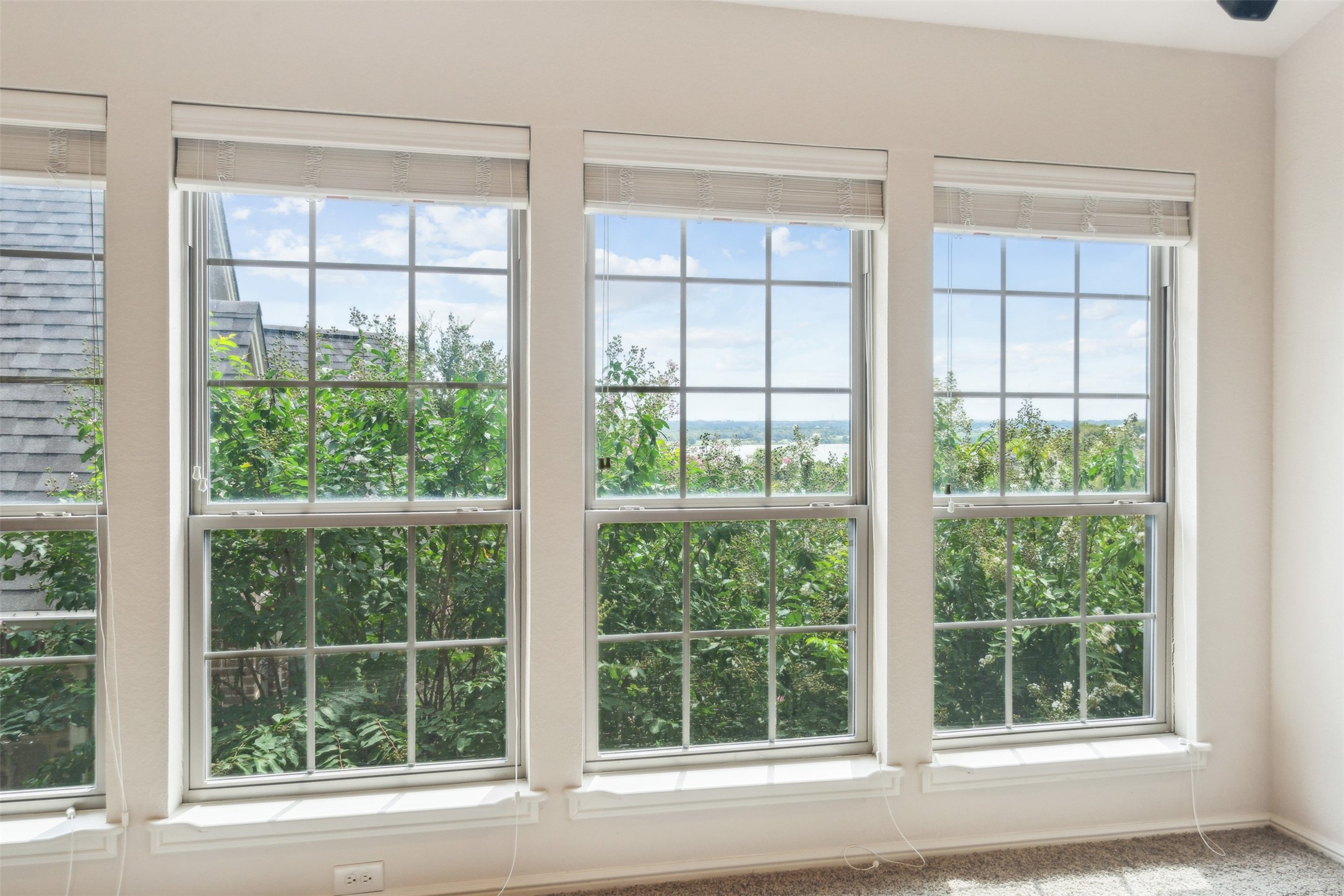 9909 Leaping Buck Point