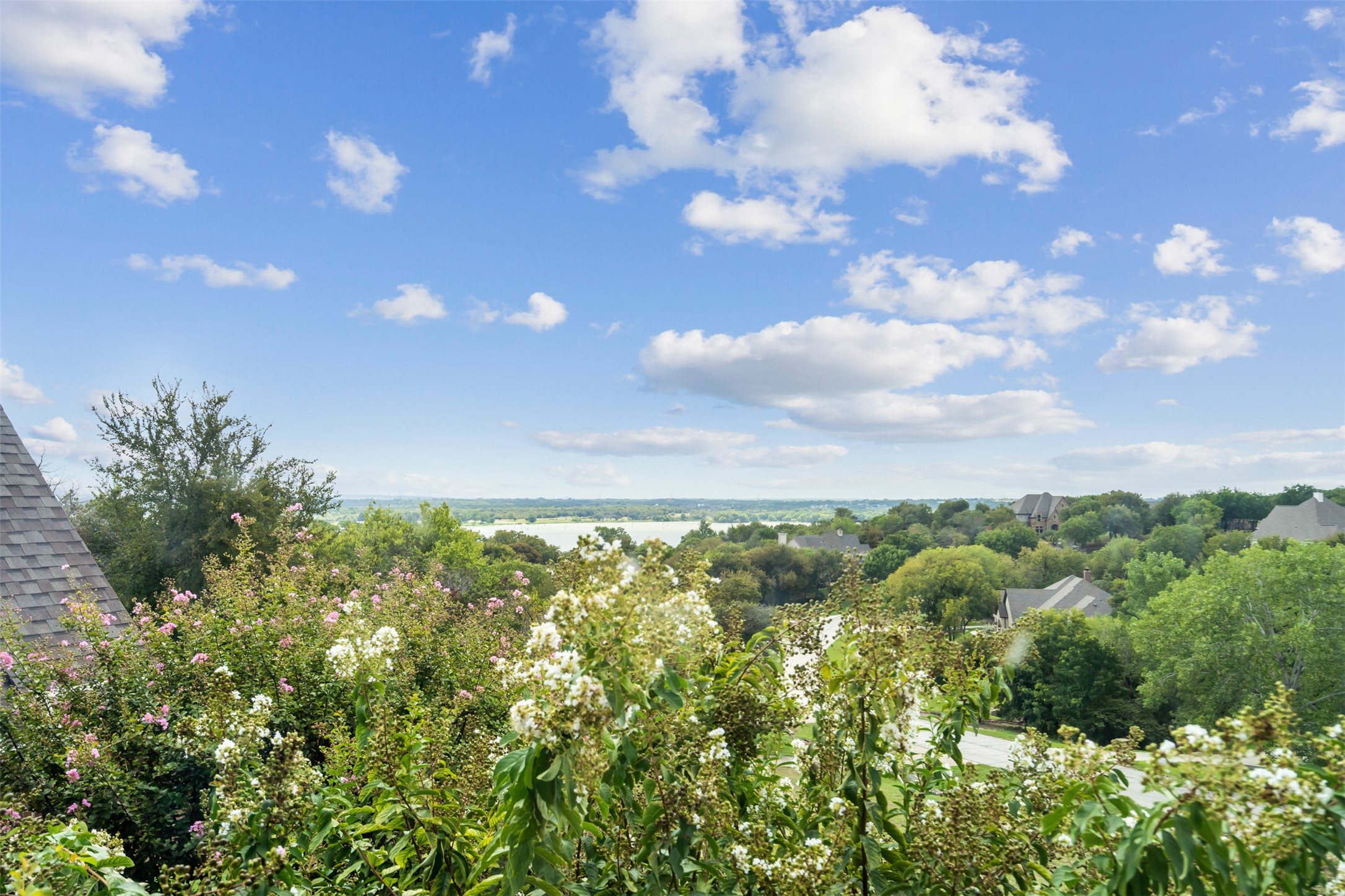 9909 Leaping Buck Point