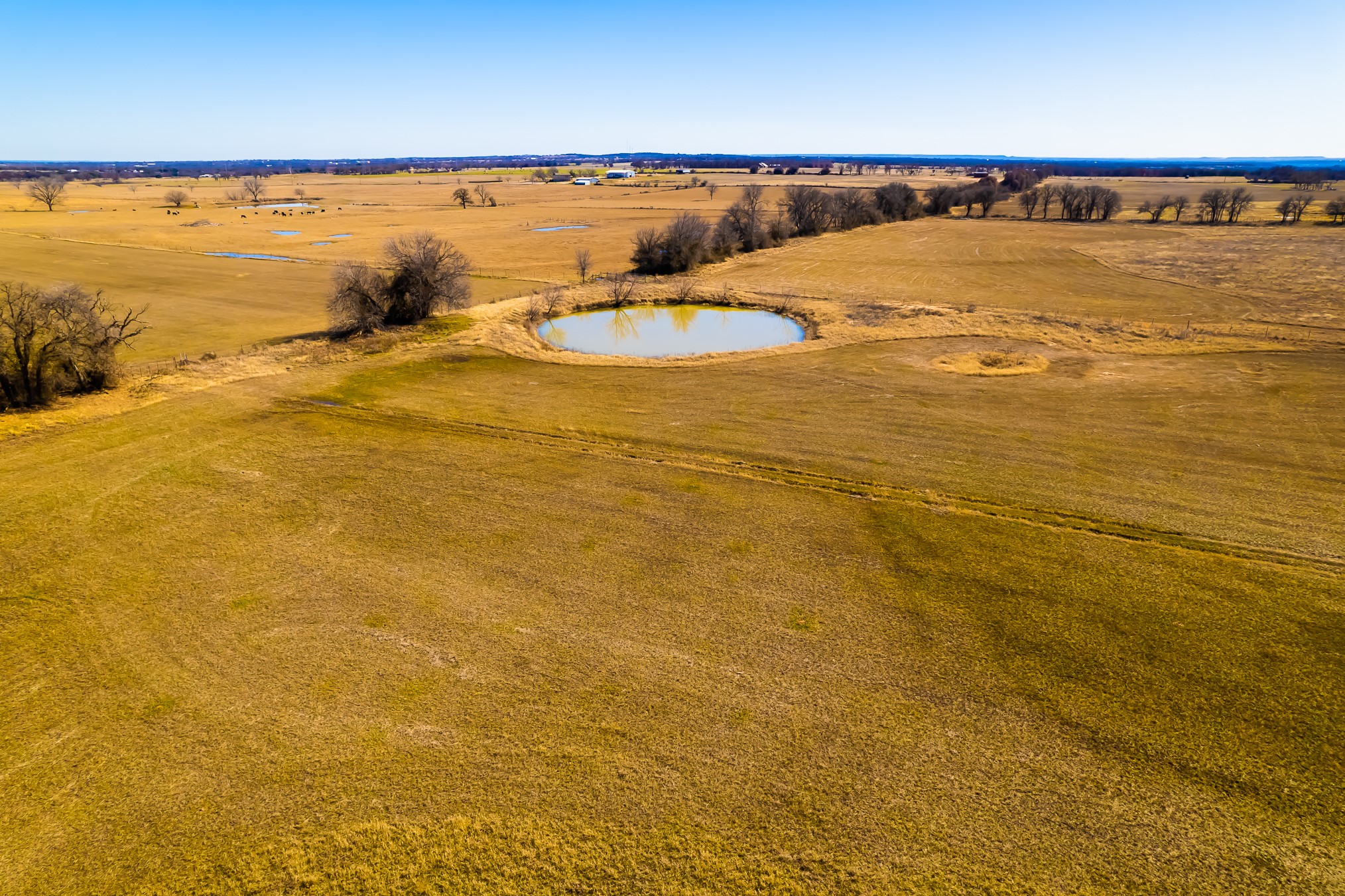 2312 Grass Roots Road