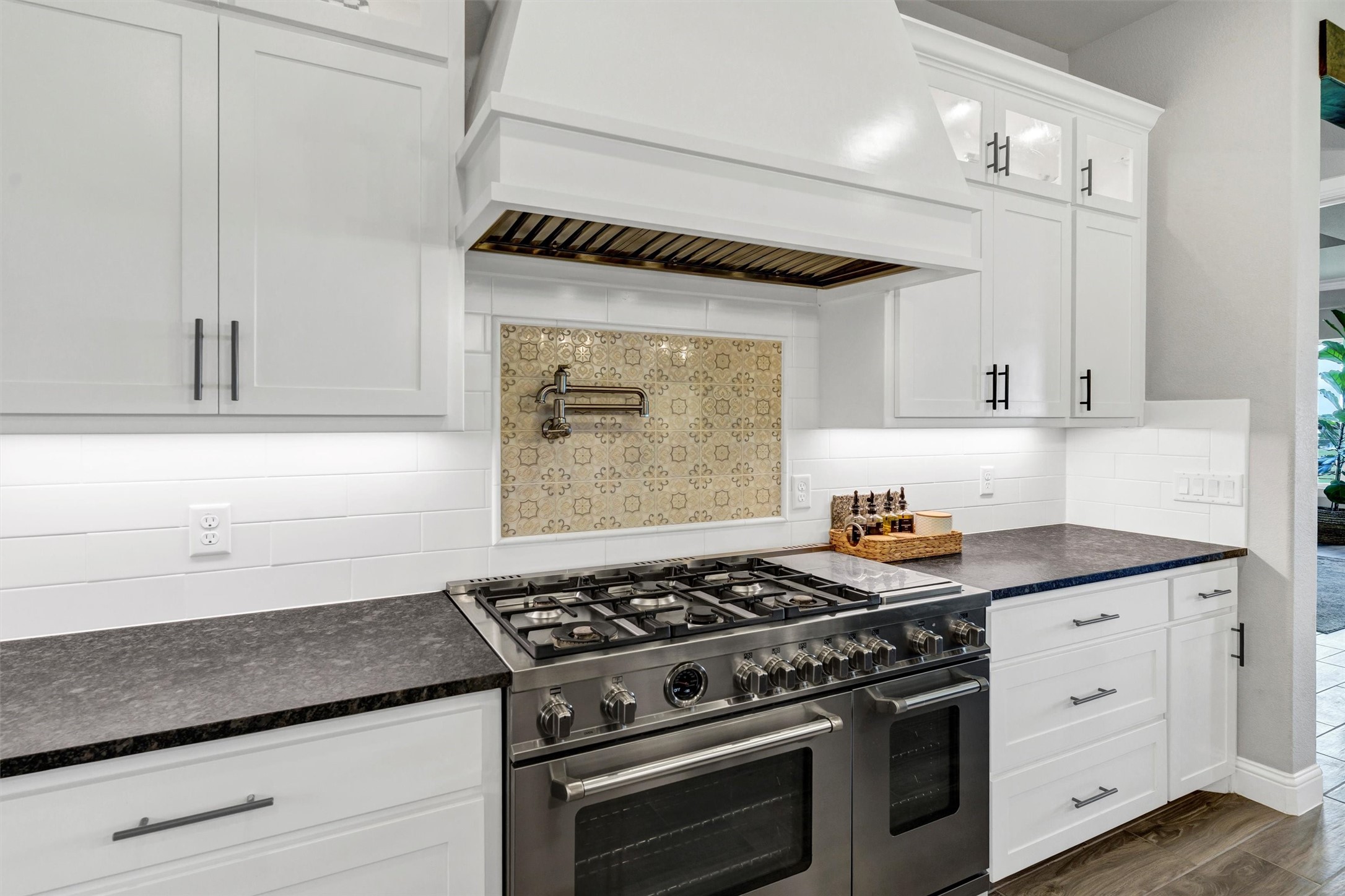 225 Buena Vista Drive