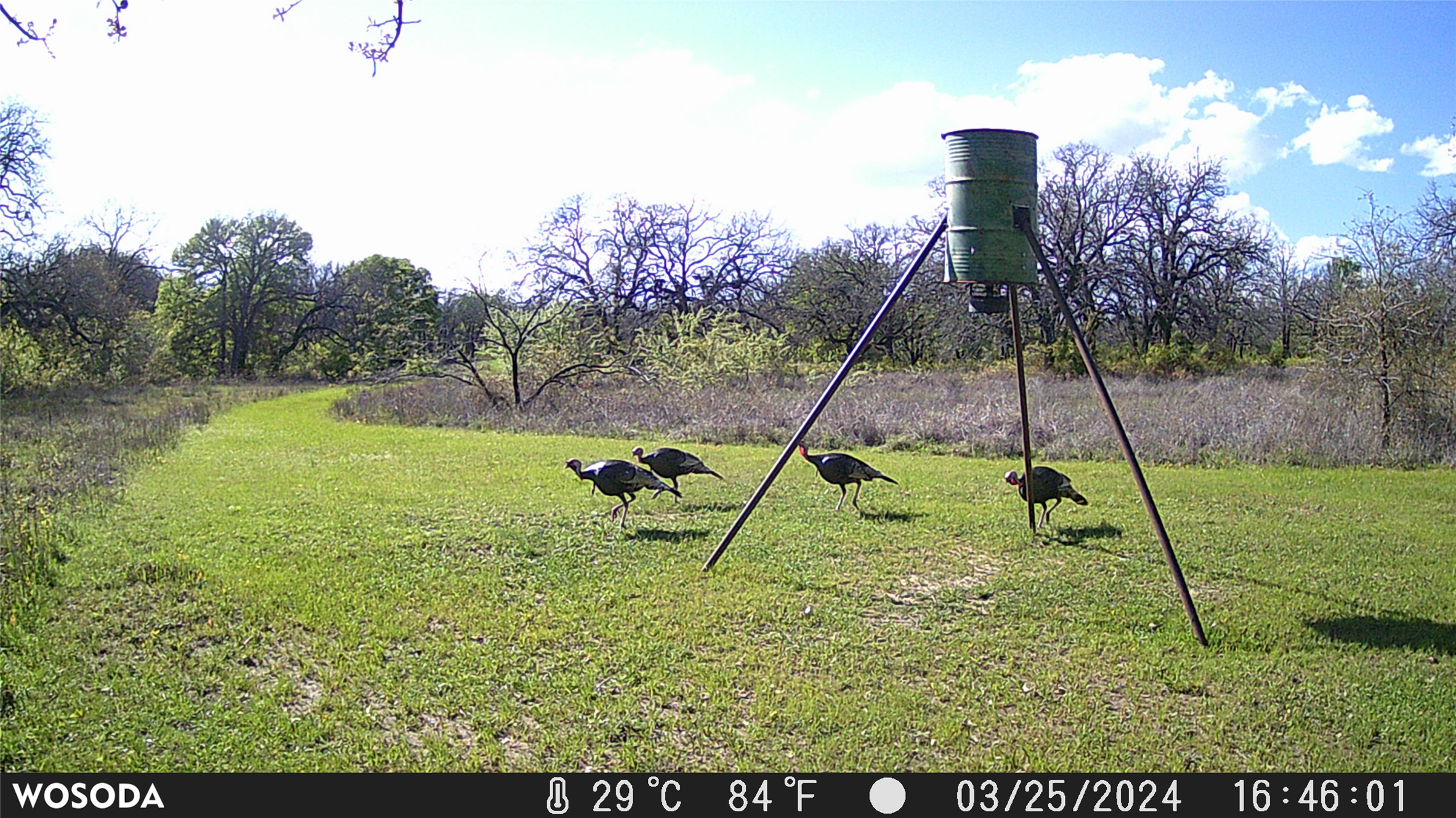 957 Pear Orchard Road