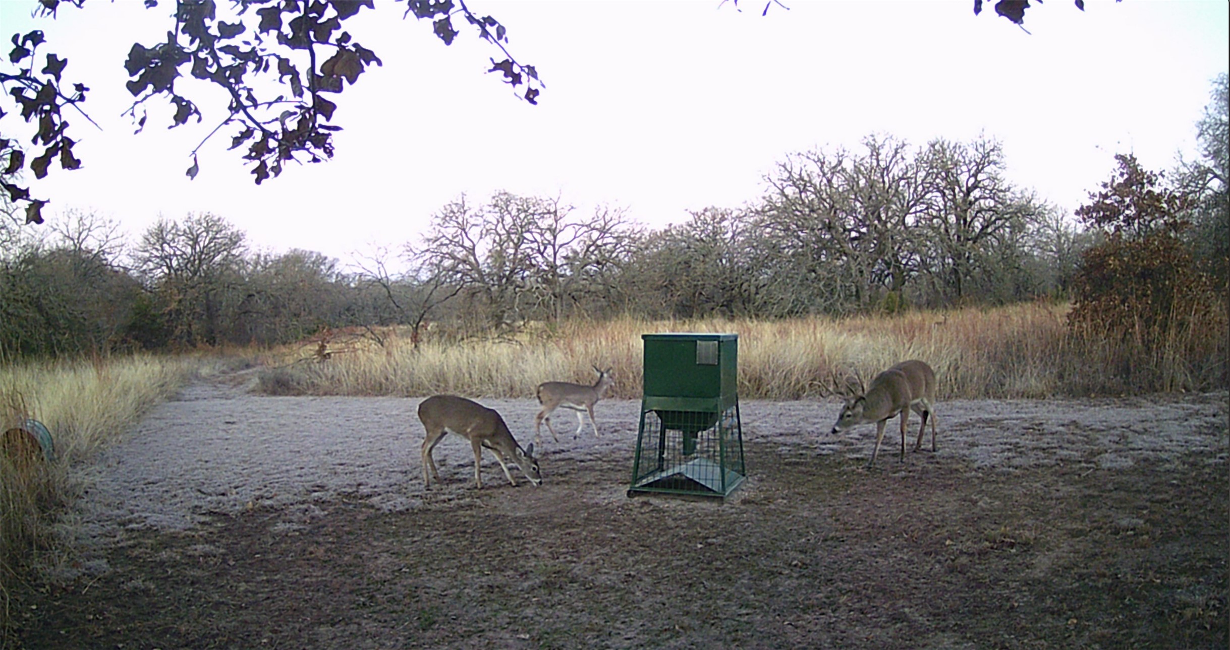 957 Pear Orchard Road