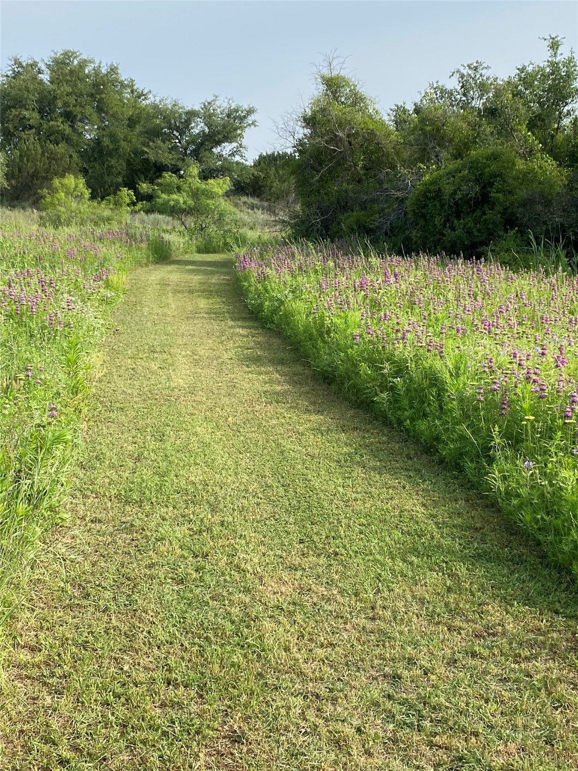 957 Pear Orchard Road