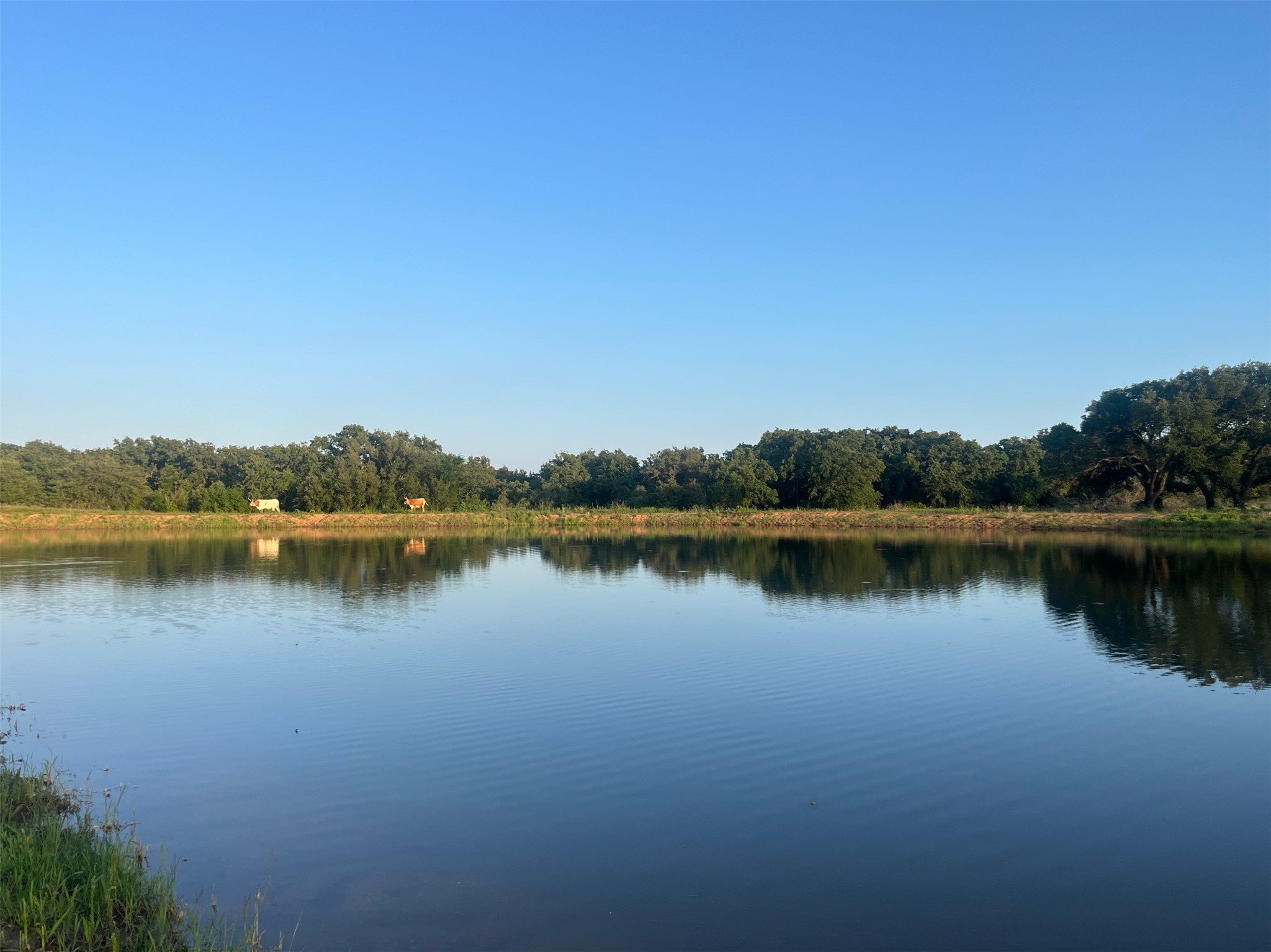 957 Pear Orchard Road