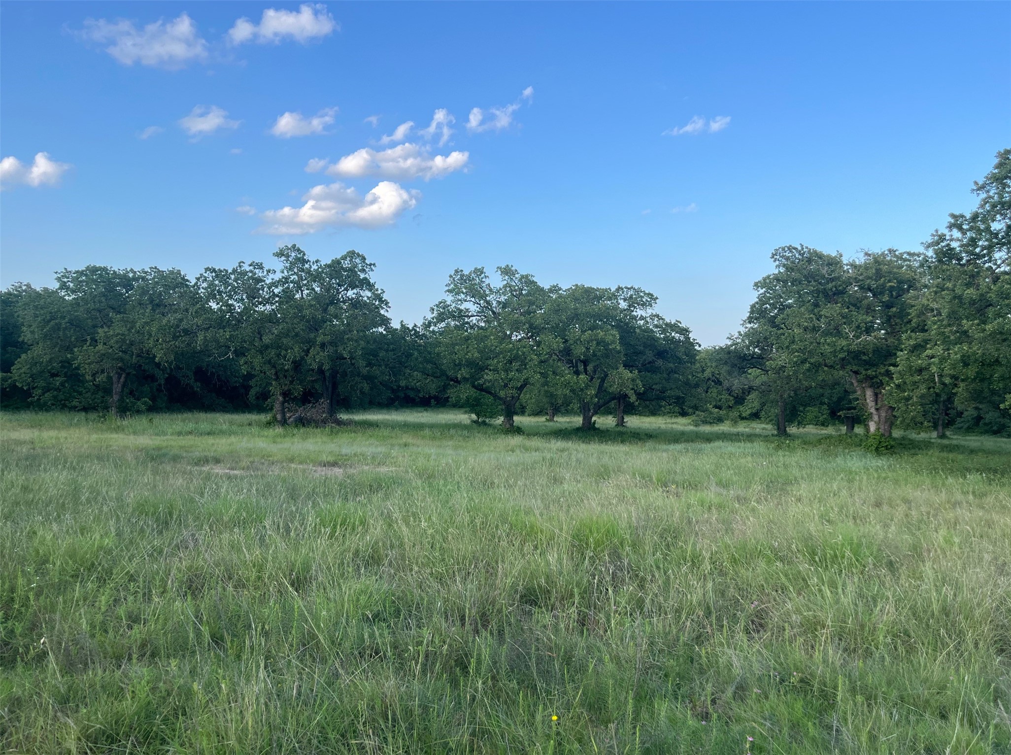 957 Pear Orchard Road