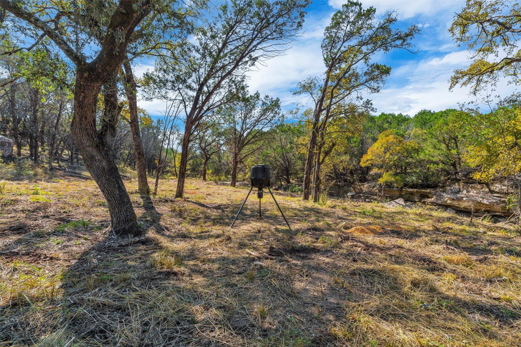 1064 Sanctuary Drive