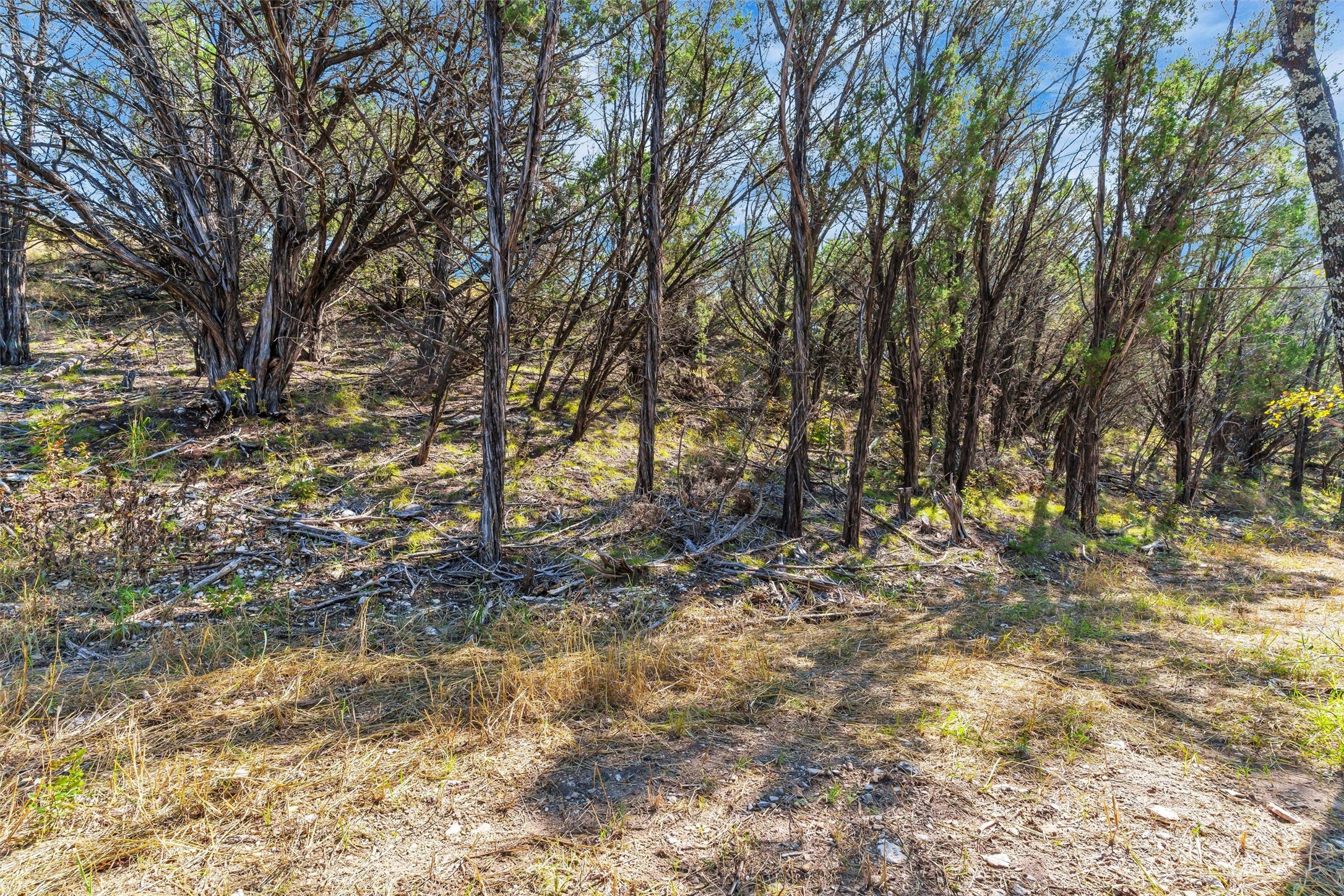 1064 Sanctuary Drive