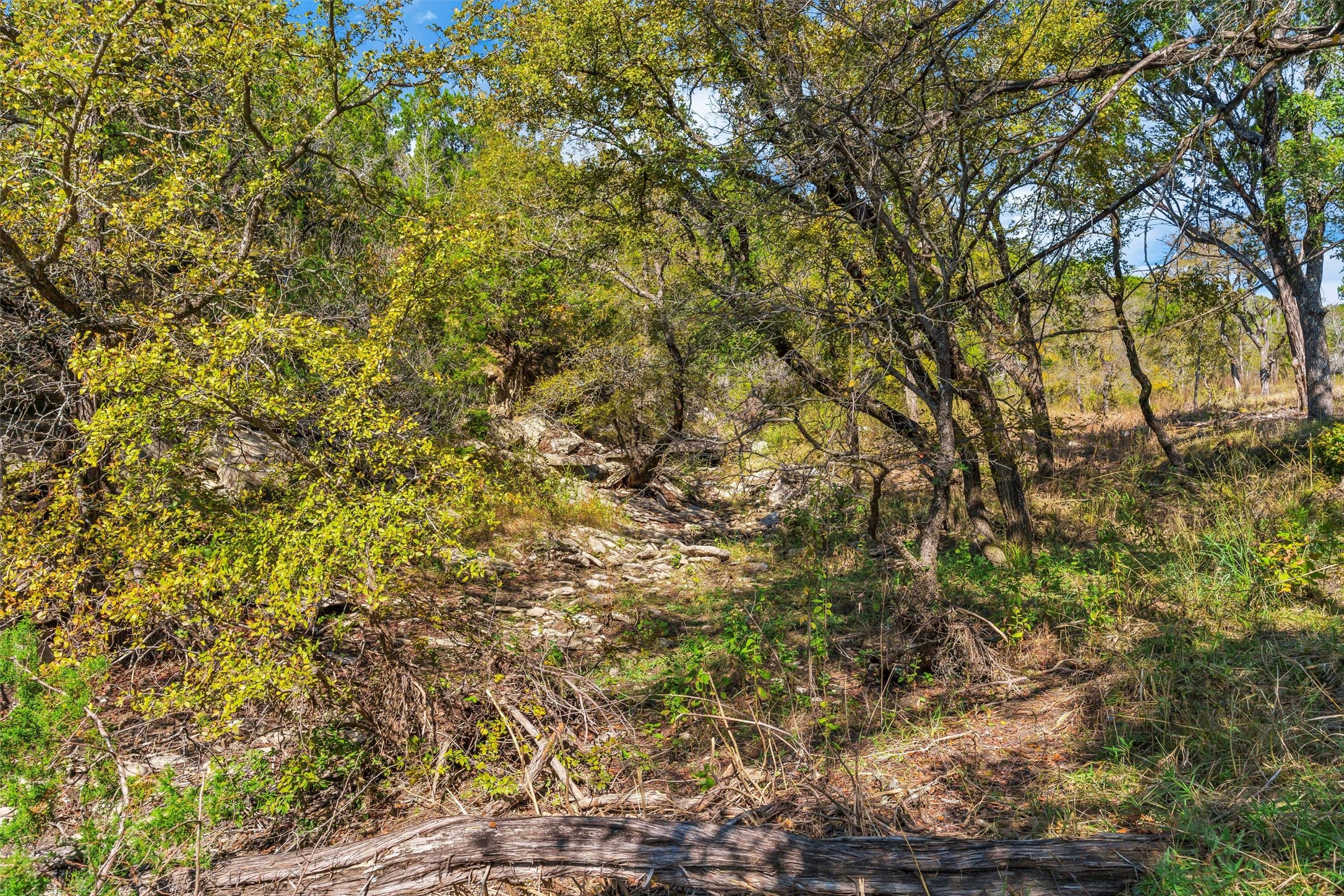 1064 Sanctuary Drive