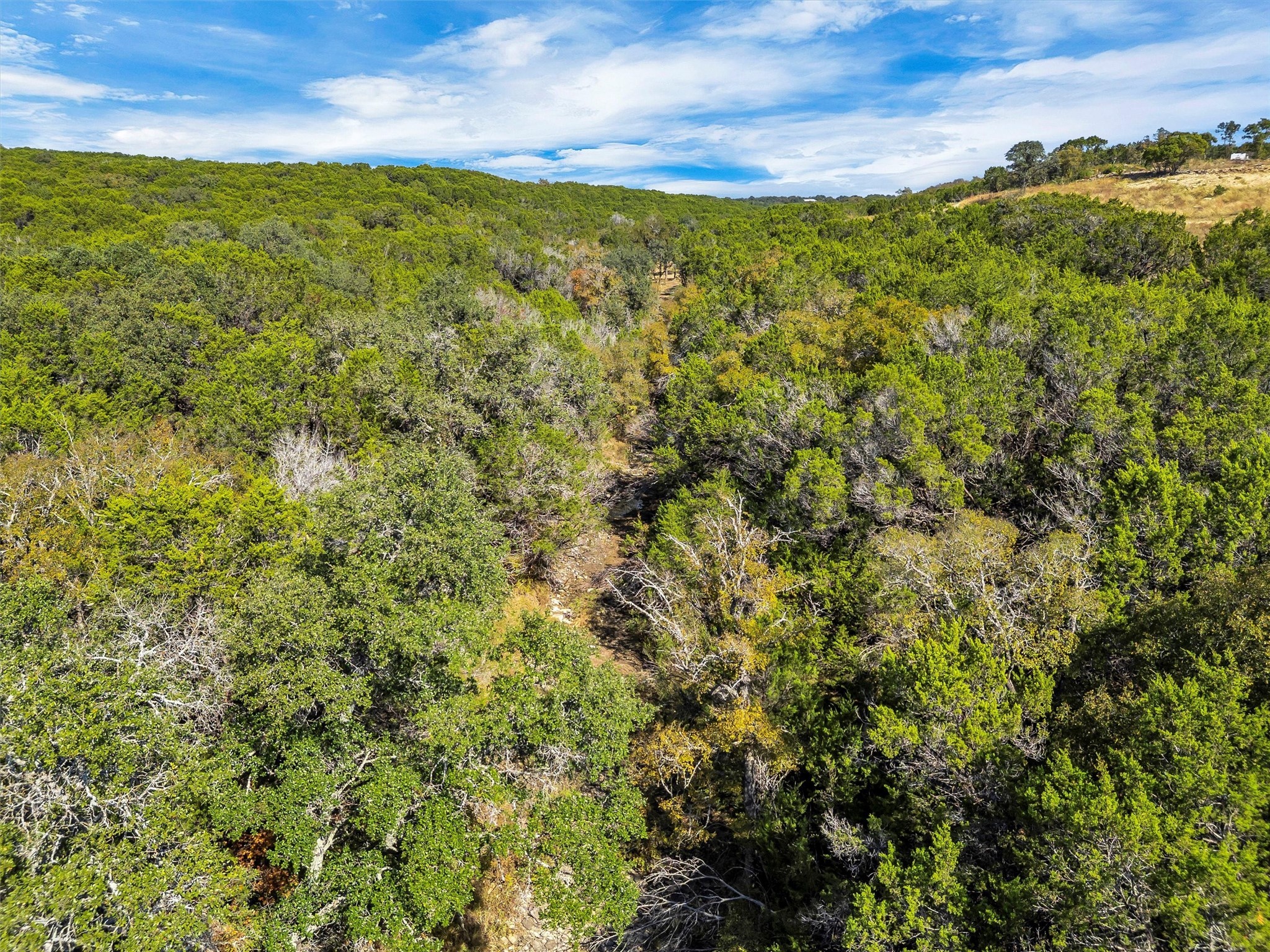 1064 Sanctuary Drive