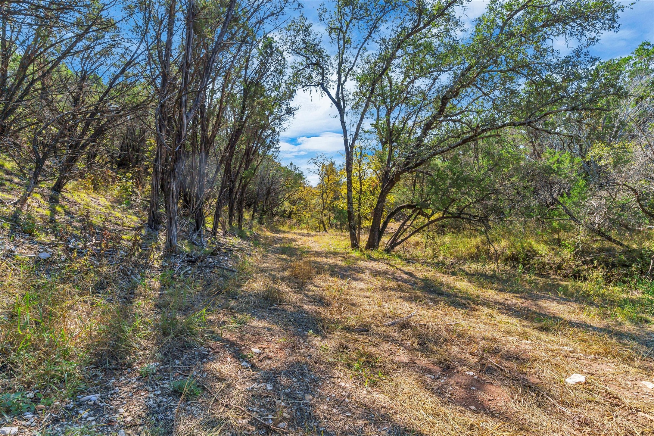 1064 Sanctuary Drive