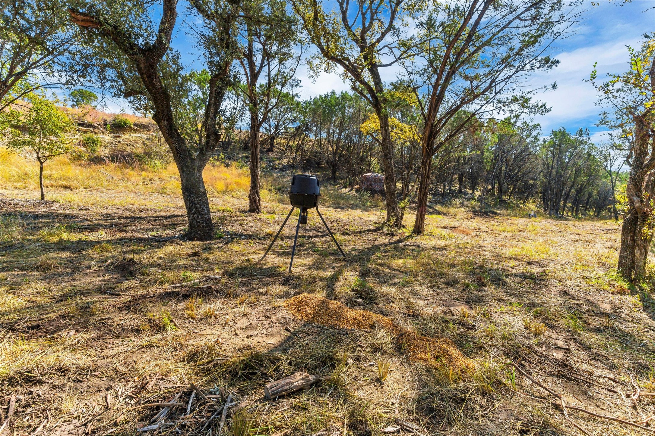 1064 Sanctuary Drive