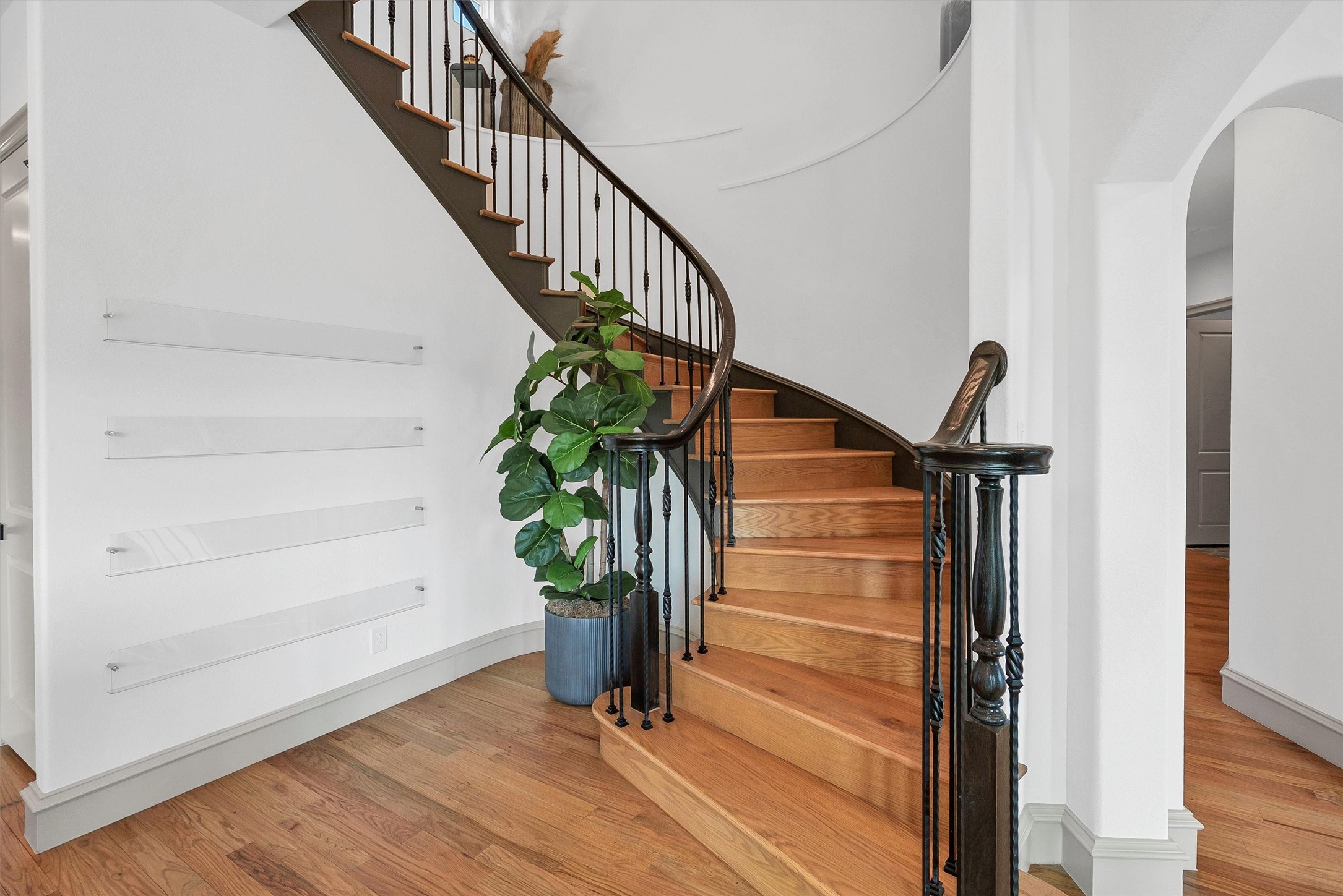231 Nueces Trail