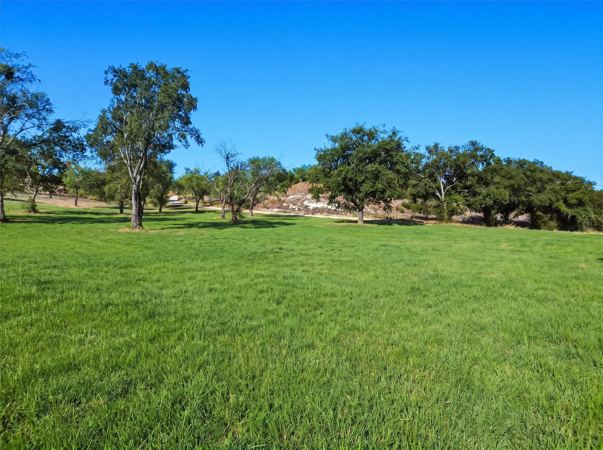 3049 Winding Creek Trail