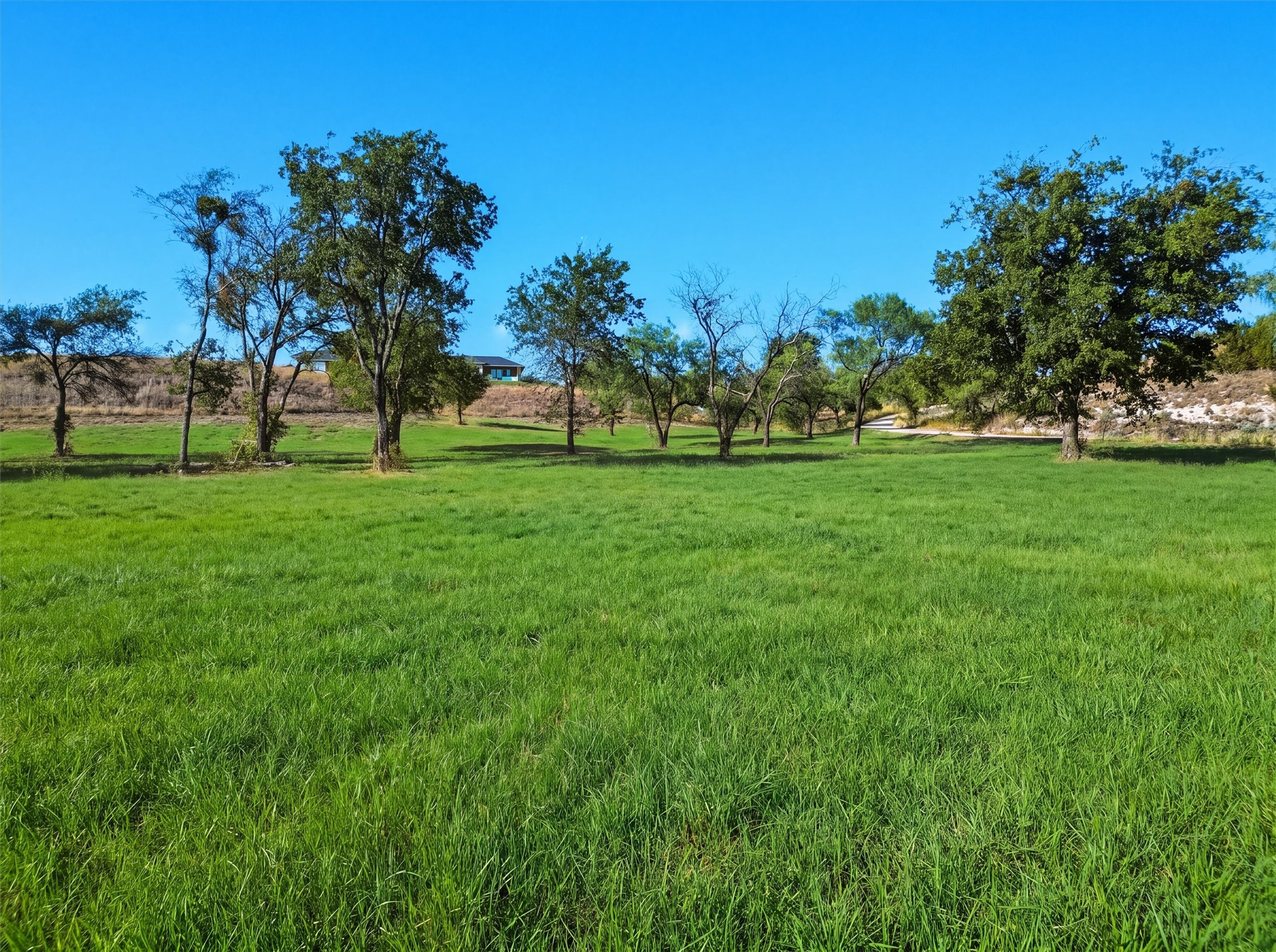 3049 Winding Creek Trail