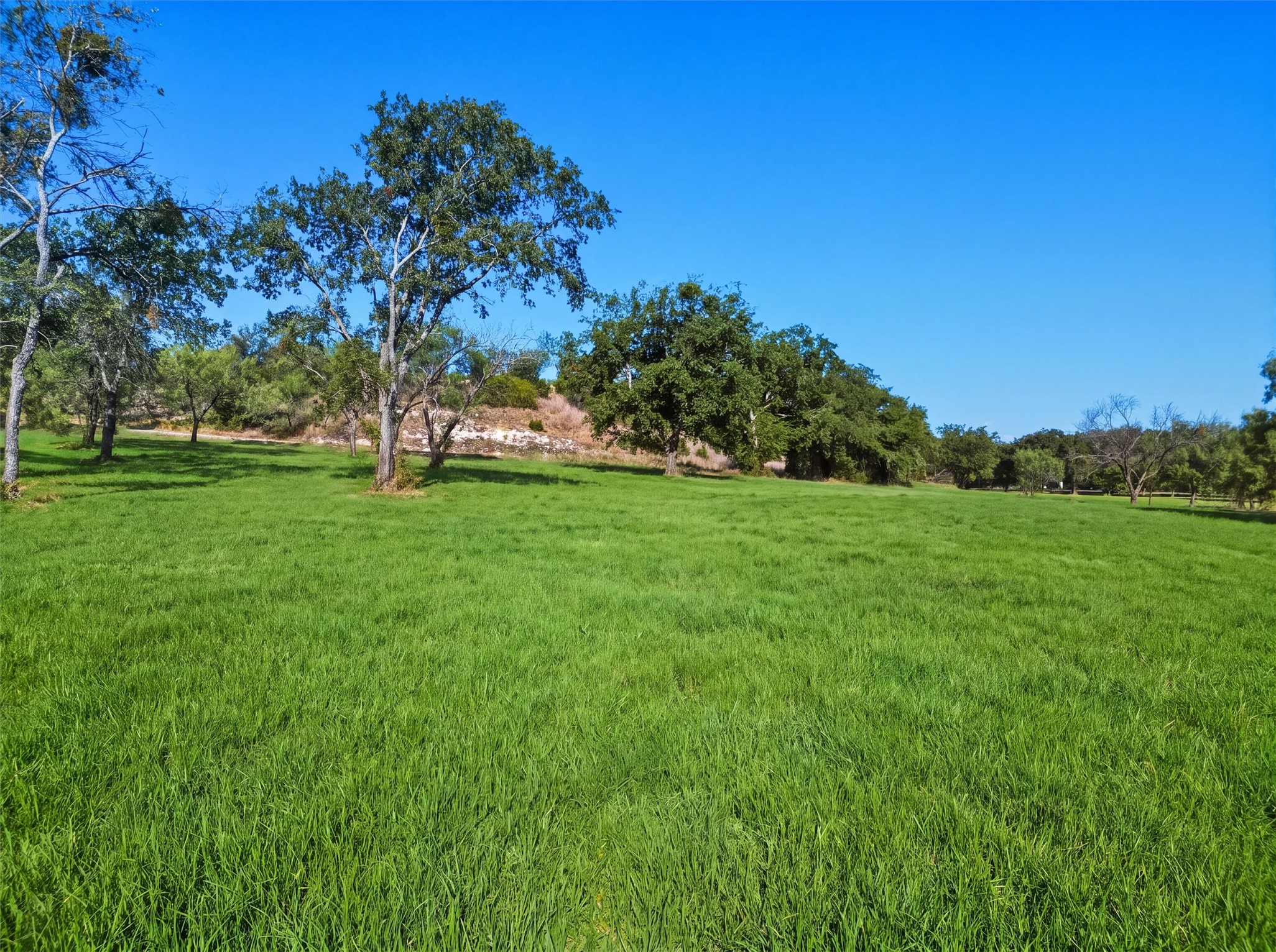 3049 Winding Creek Trail