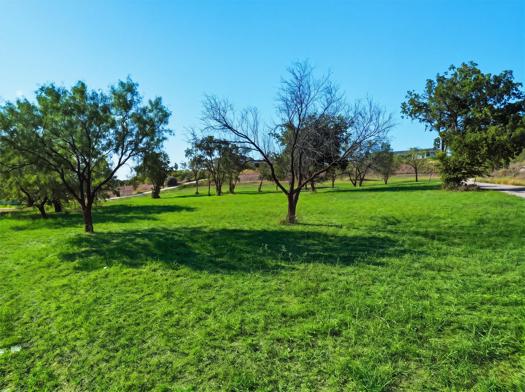3049 Winding Creek Trail