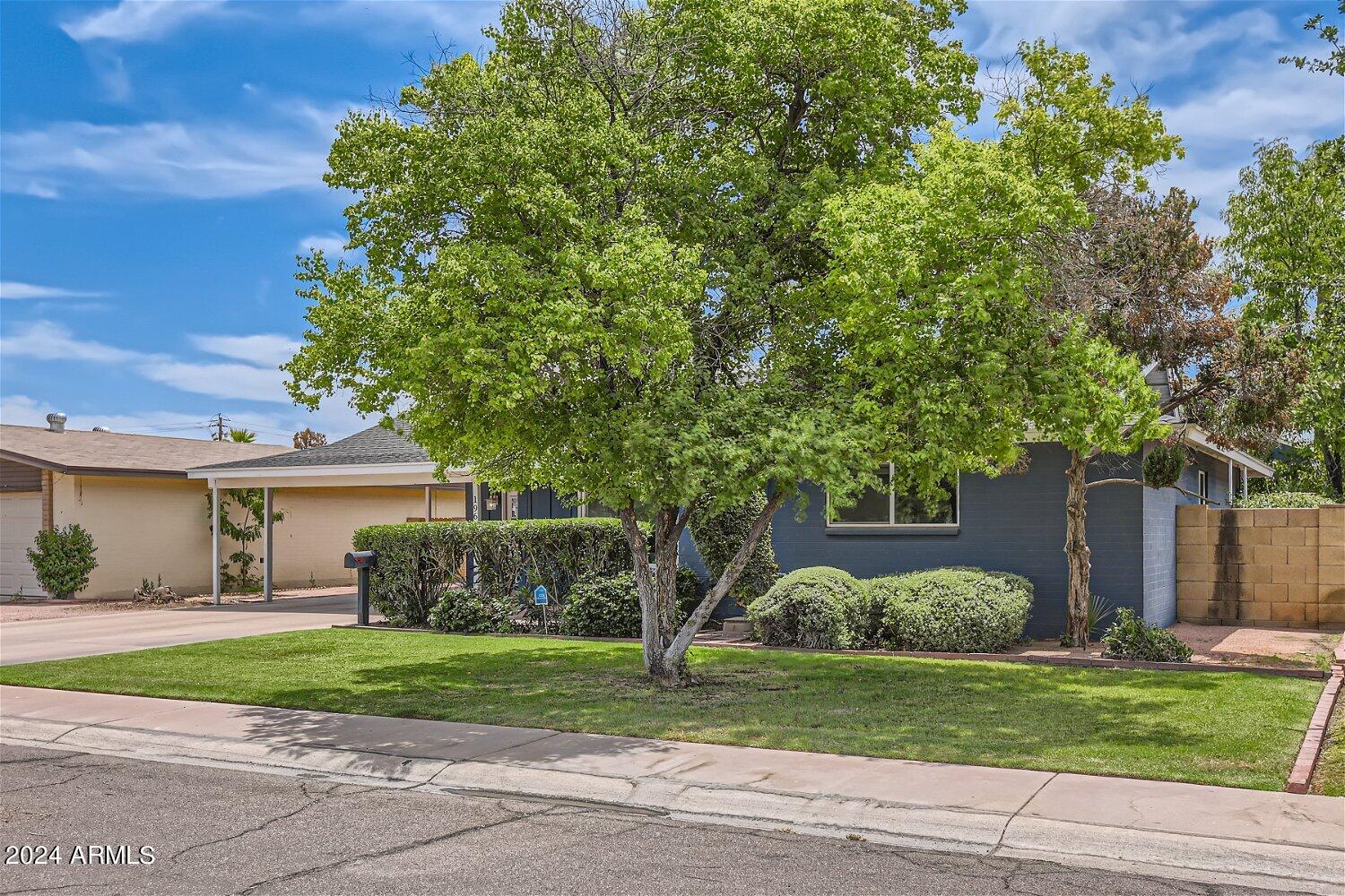 1965 E MEADOW Drive