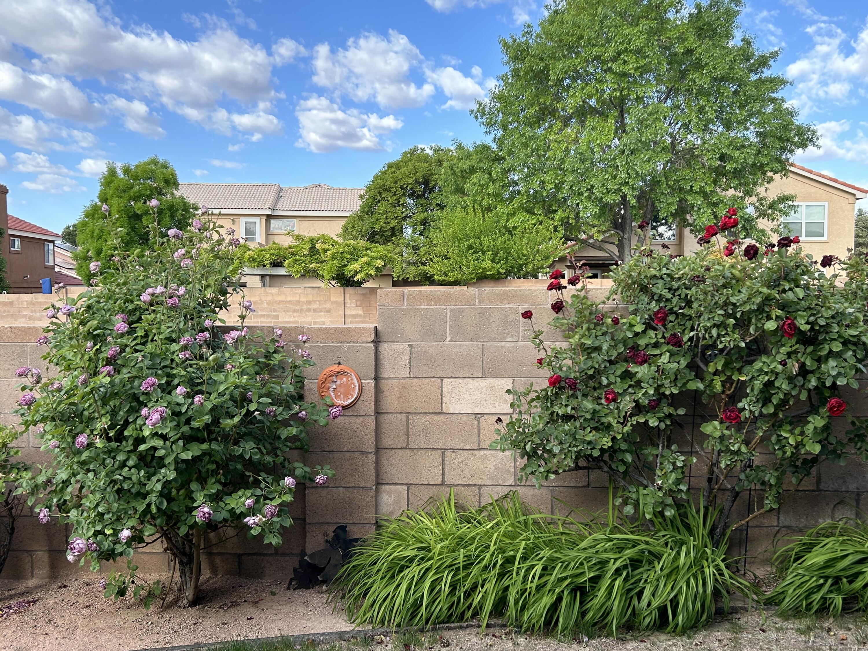 4120 Rancho Gusto NW