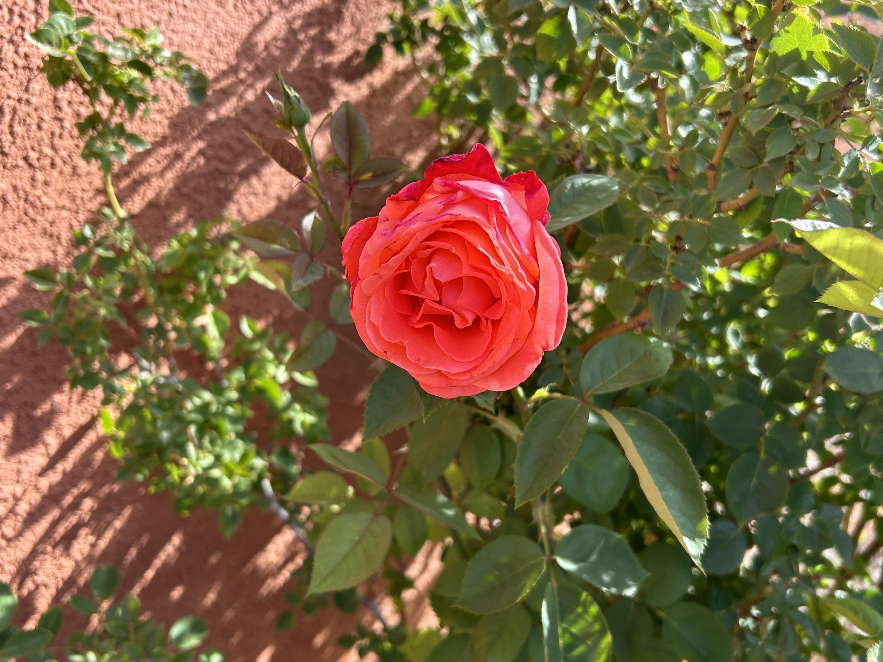 4120 Rancho Gusto NW