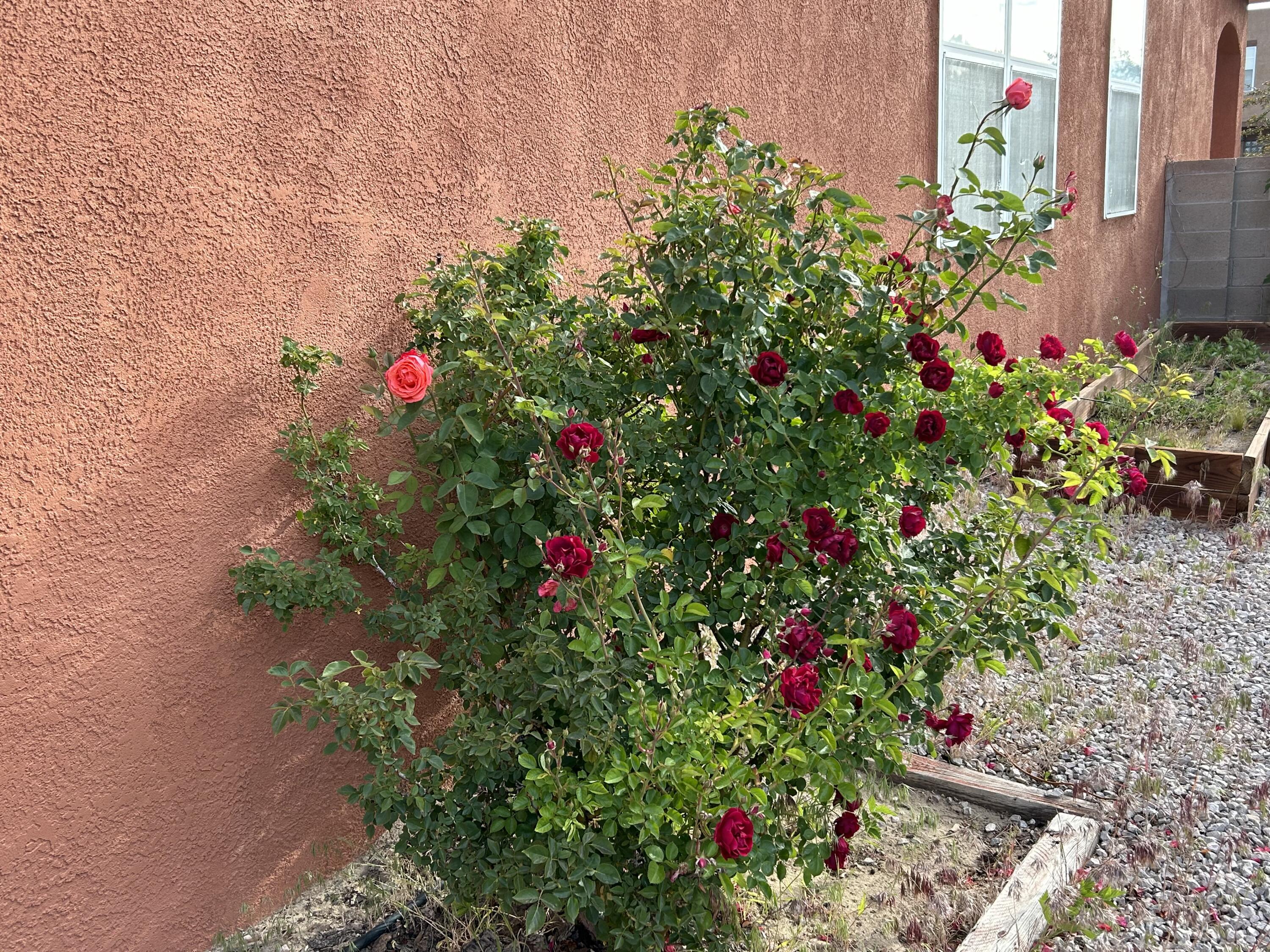 4120 Rancho Gusto NW