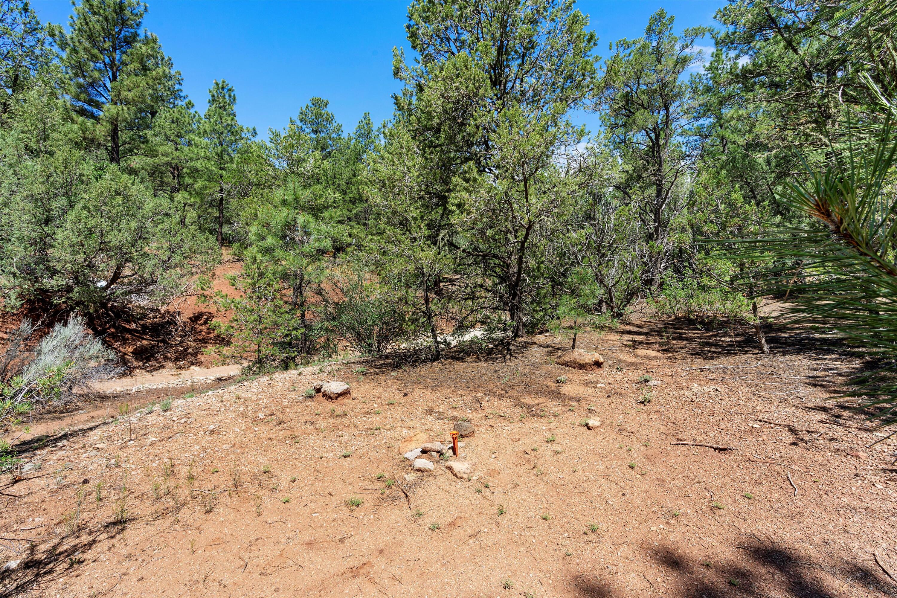 88 Pinon Ridge Road