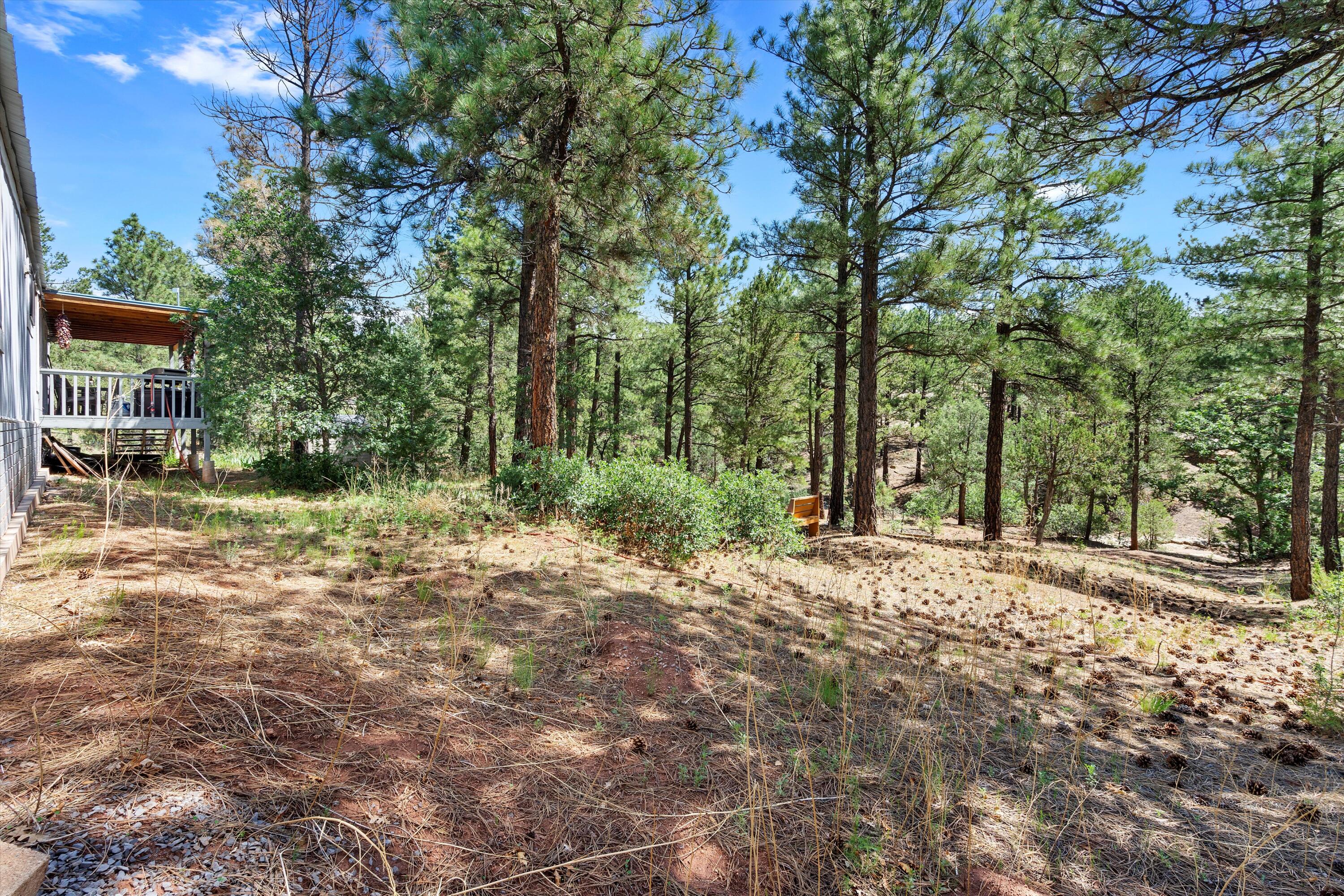 88 Pinon Ridge Road
