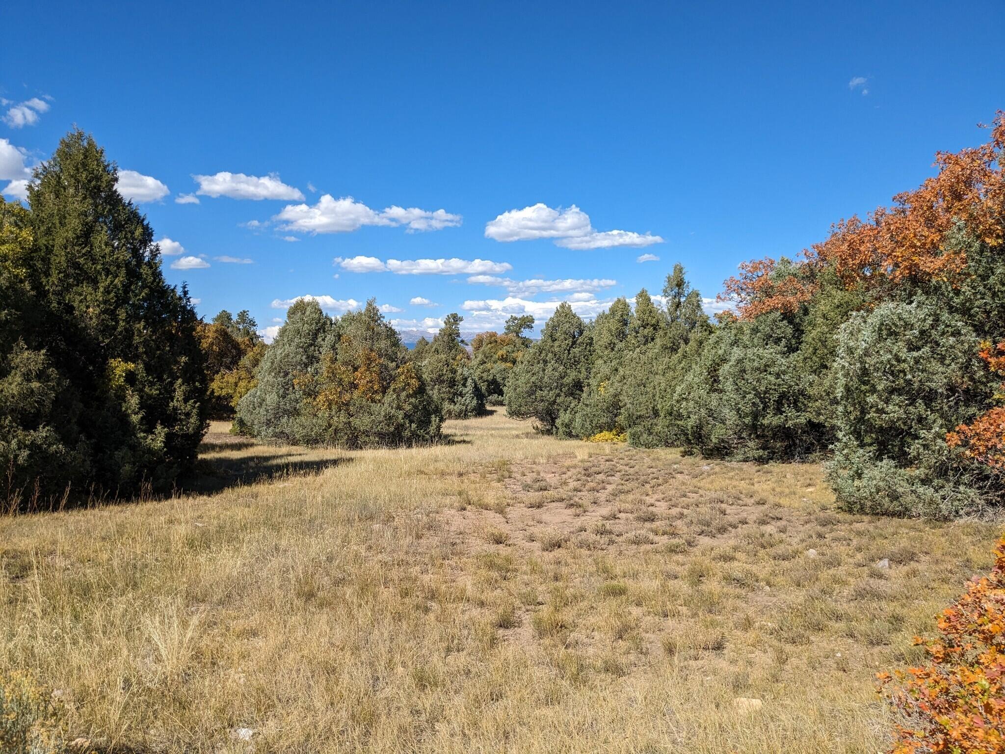 Lot Near Chama