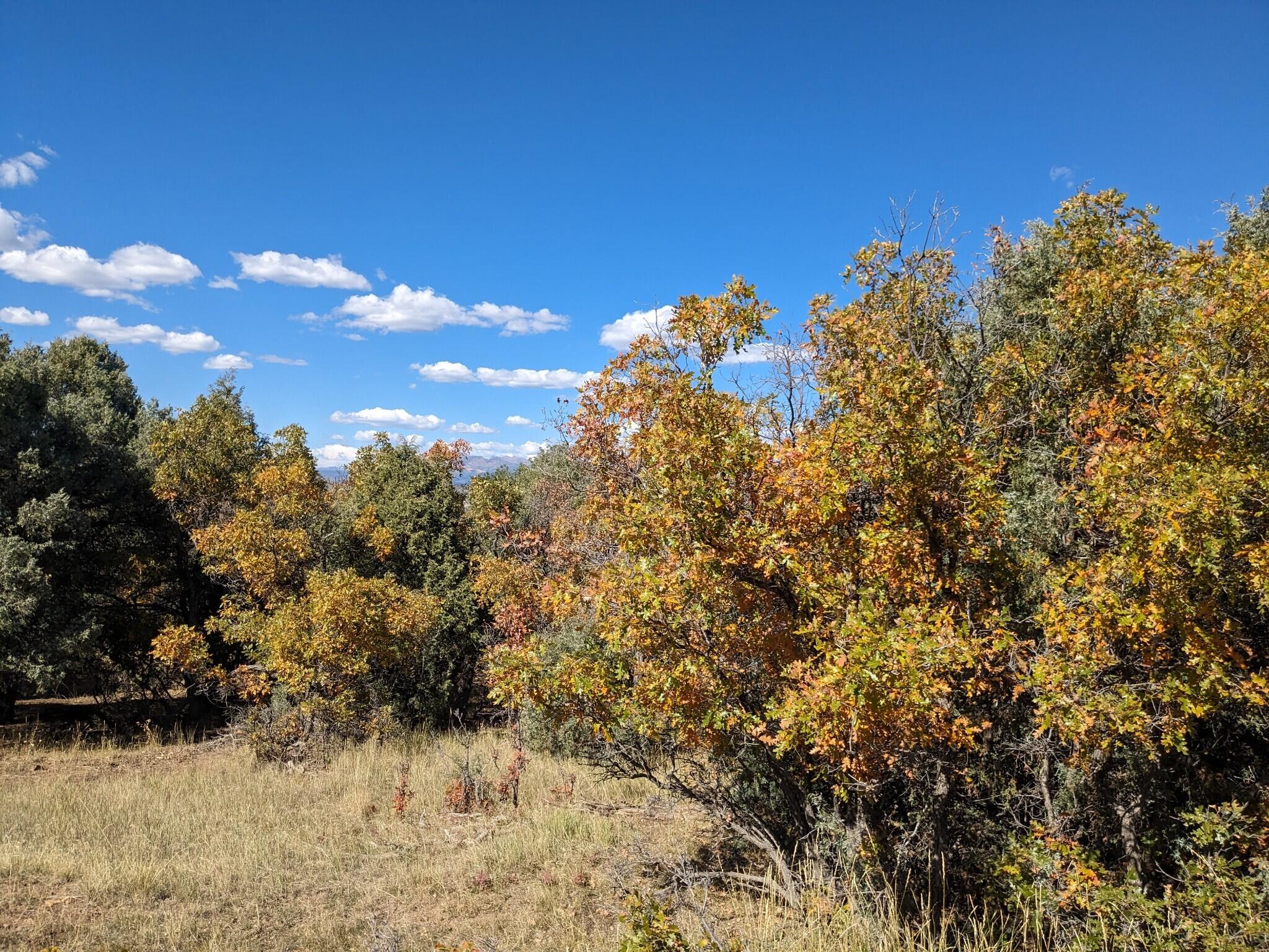 Lot Near Chama