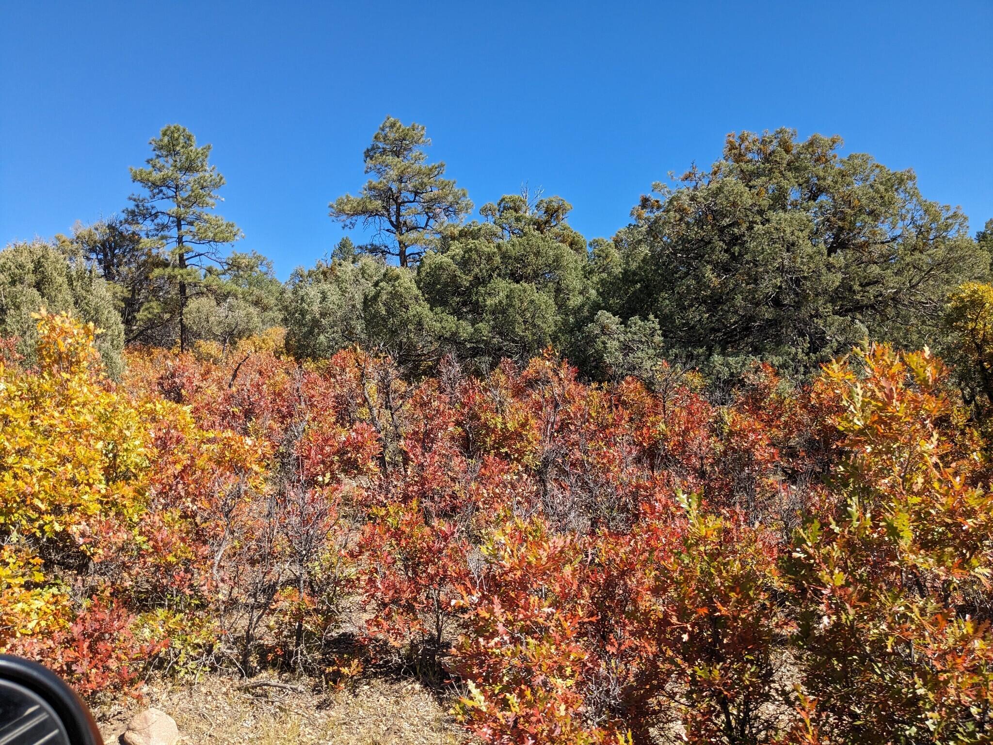 Lot Near Chama
