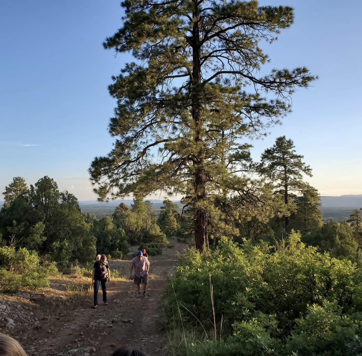Lot Near Chama