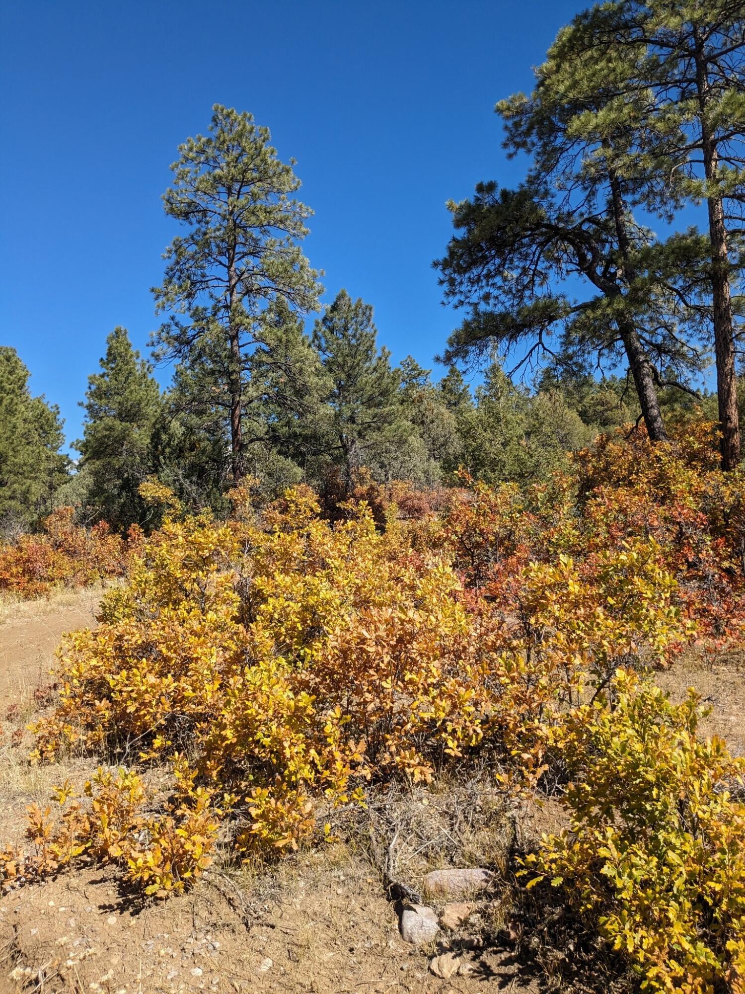 Lot Near Chama