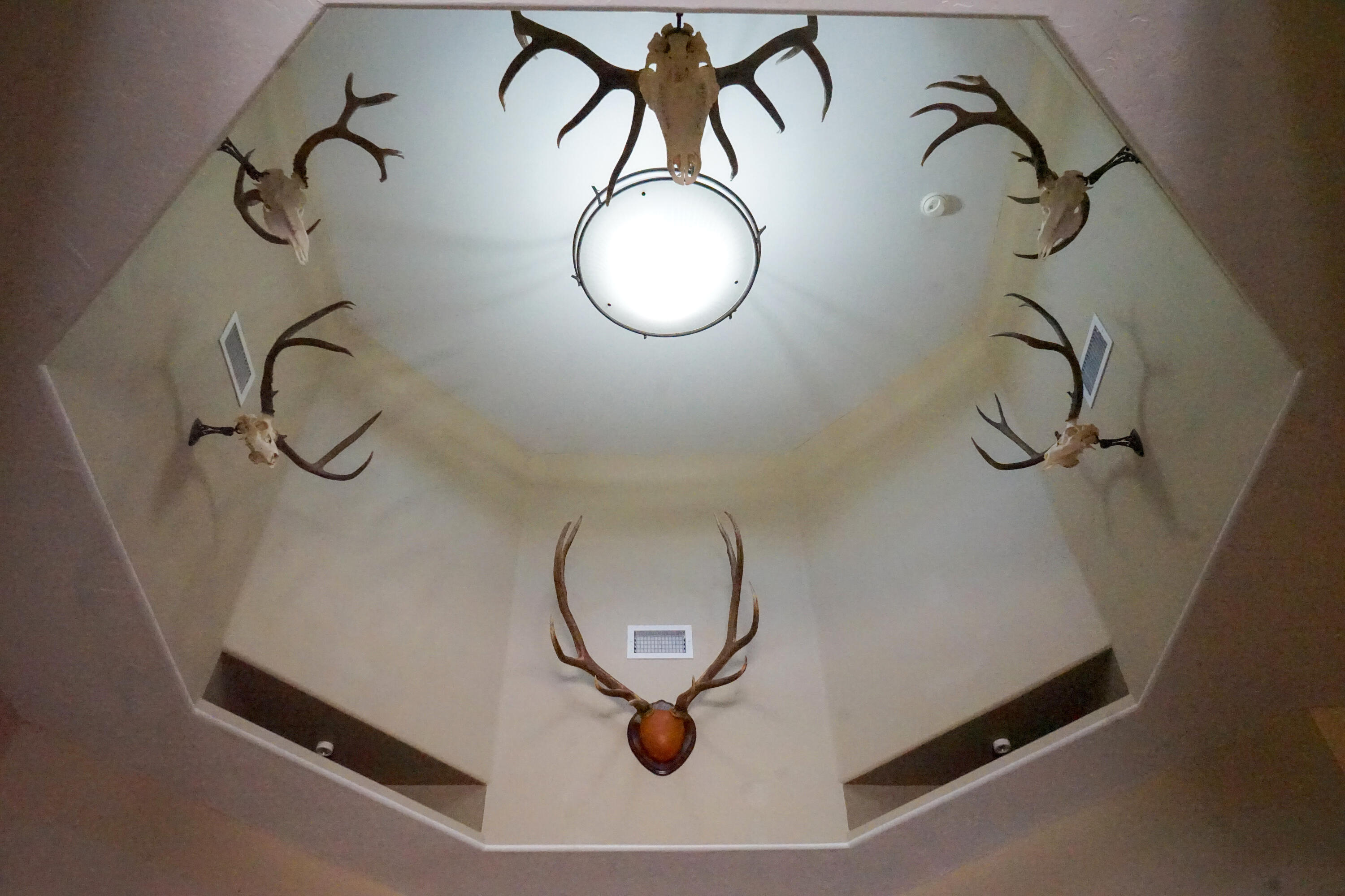 8 TUKI Court