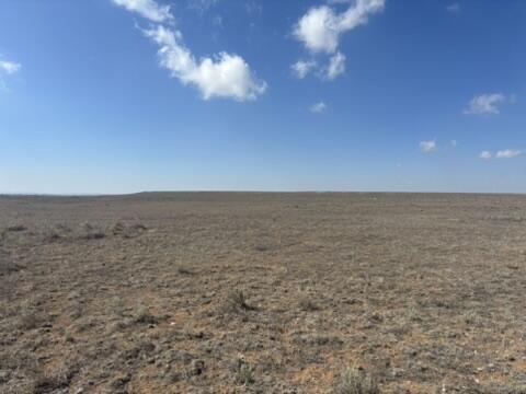 Antelope Sprngs Lot 35, 61, 62 Drive