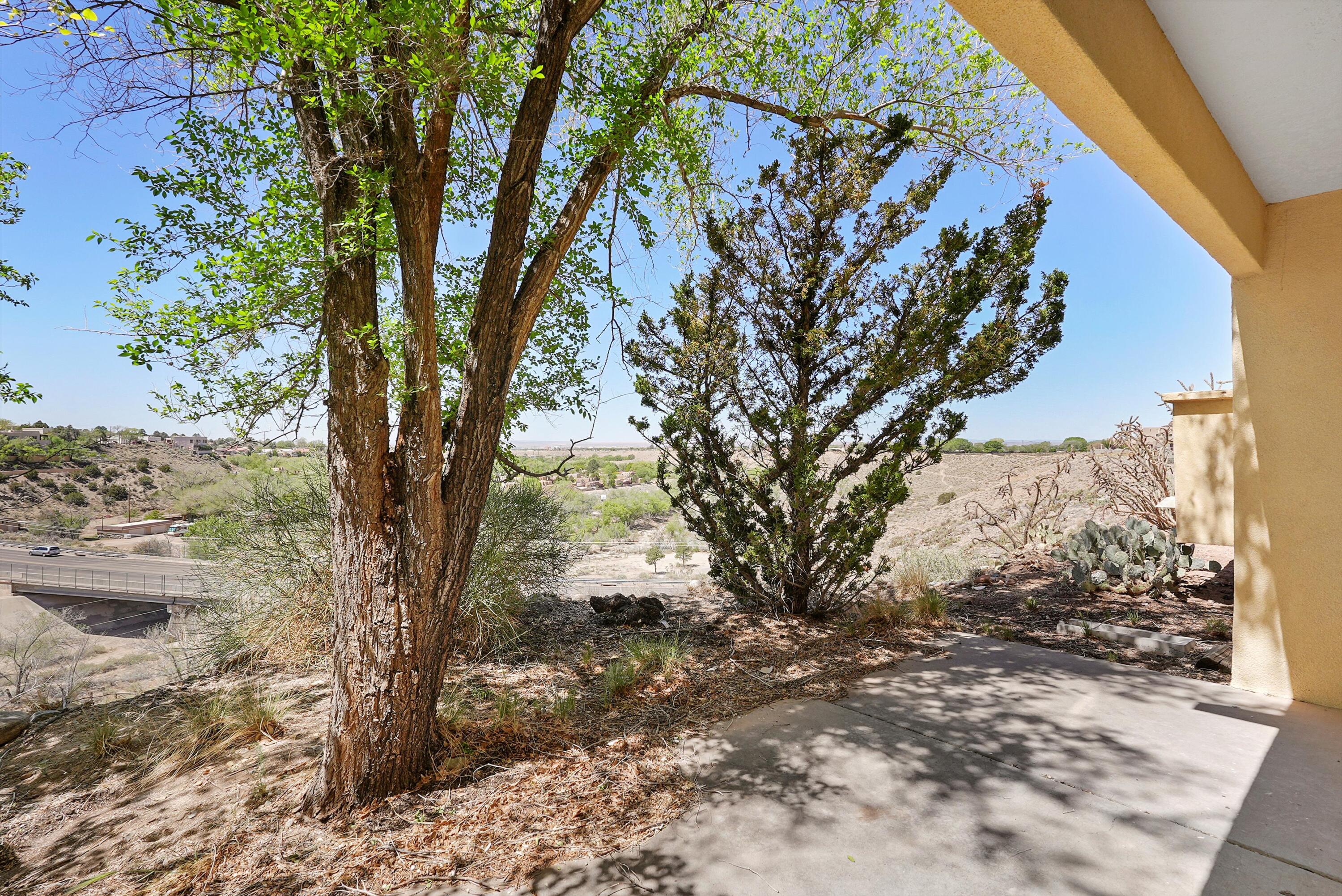 529 PINON CREEK Road SE