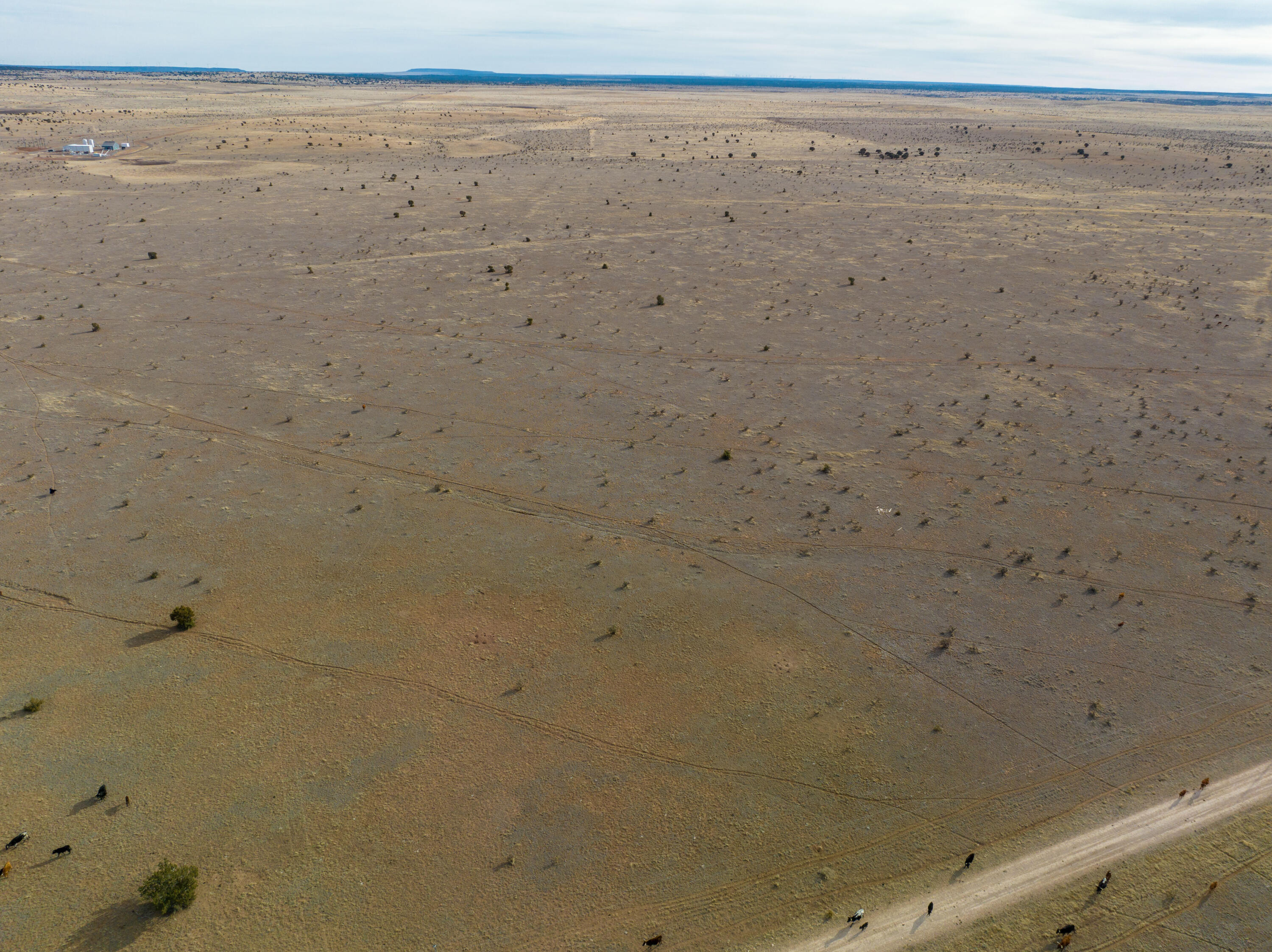 Portillo Creek Ranch, Tract 12