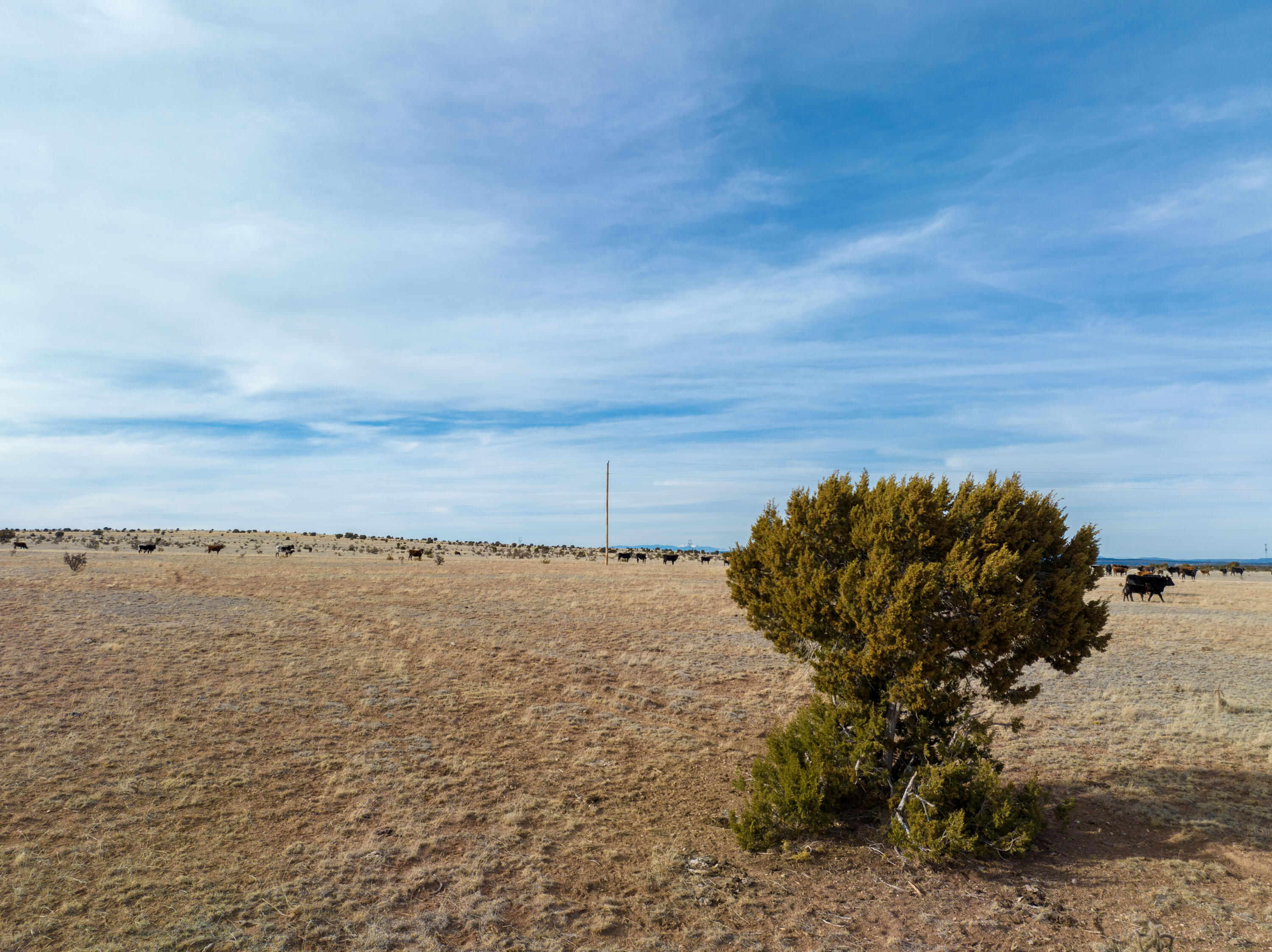 Portillo Creek Ranch, Tract 12