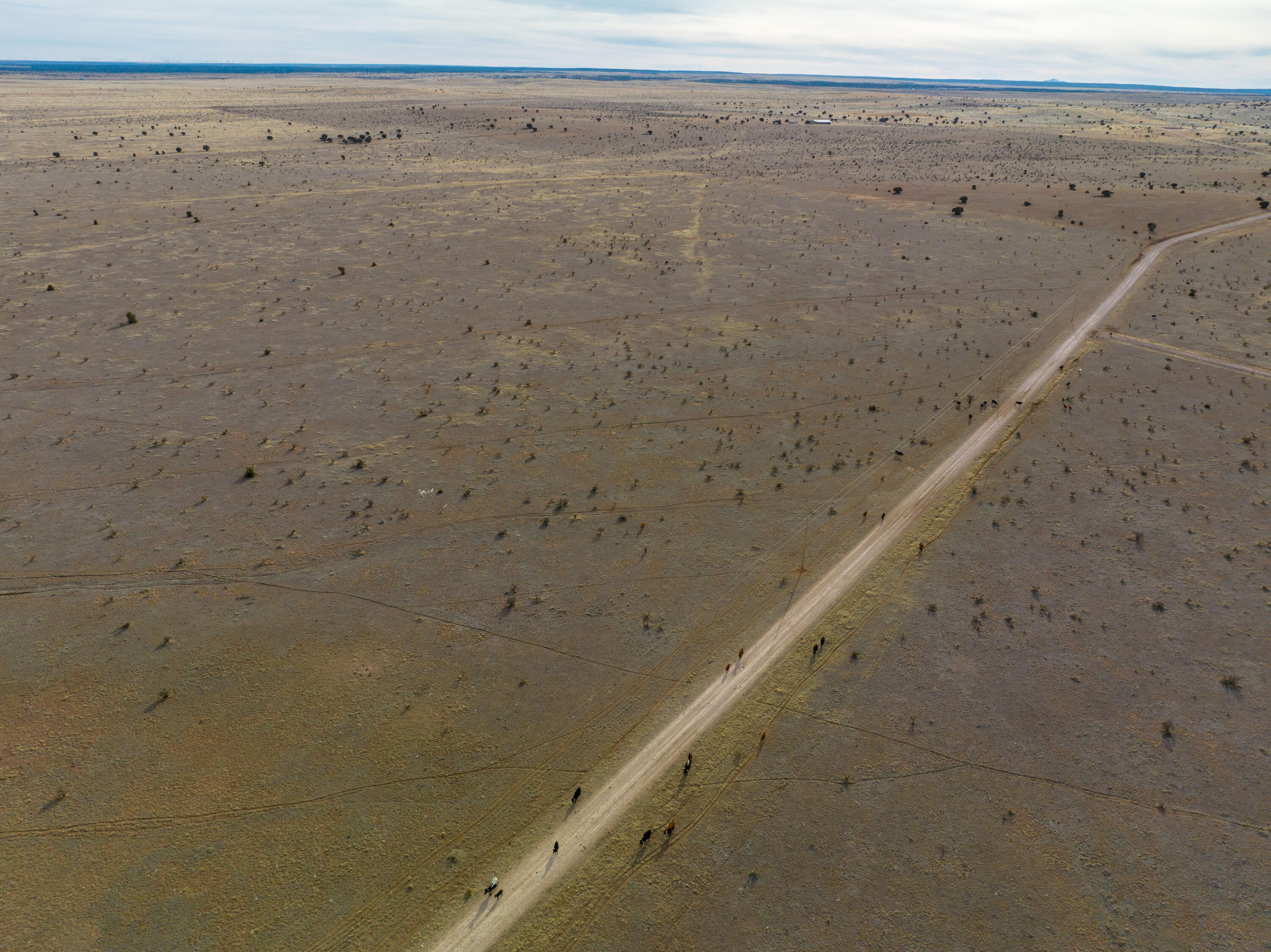 Portillo Creek Ranch, Tract 12