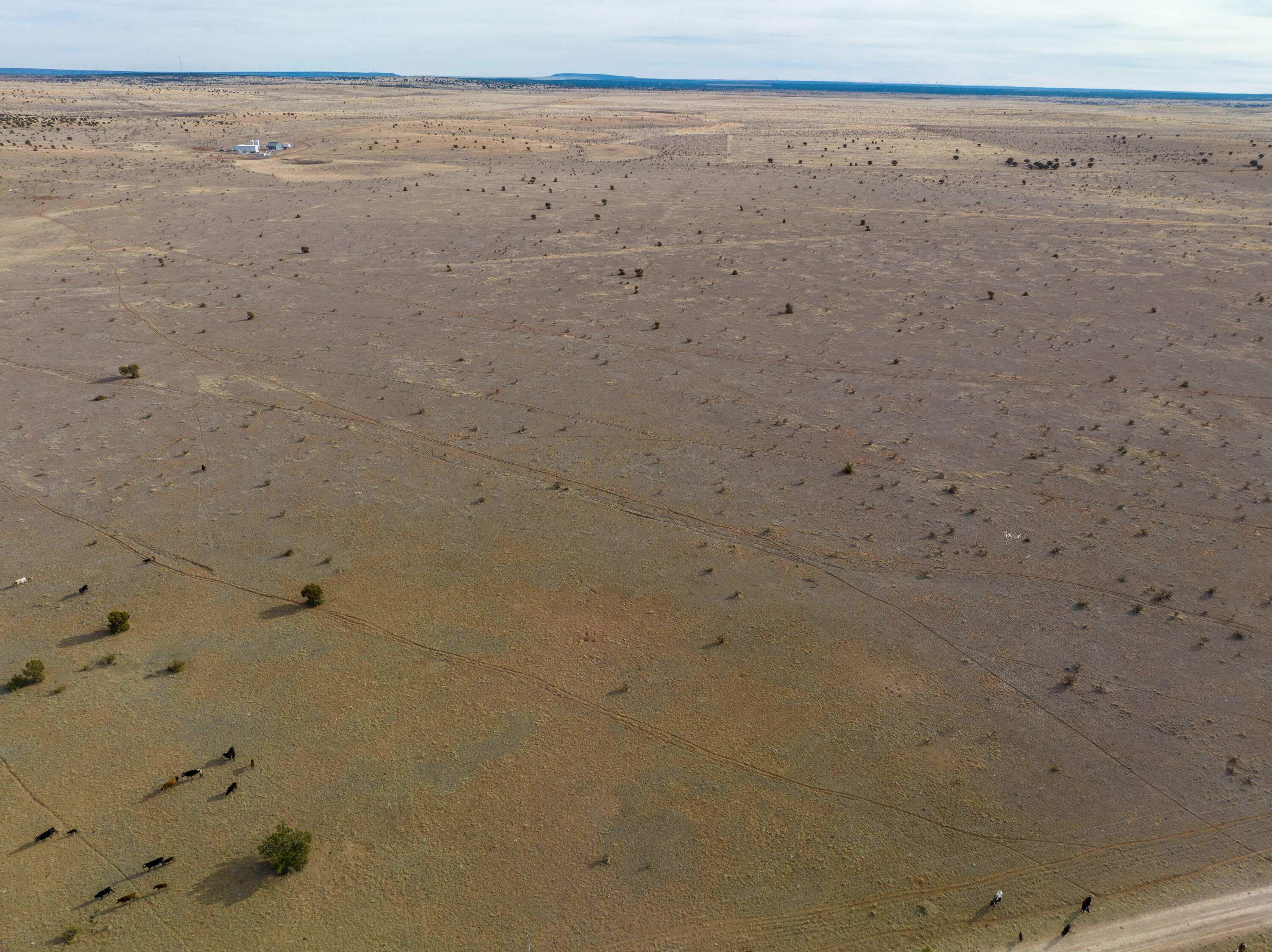 Portillo Creek Ranch, Tract 12