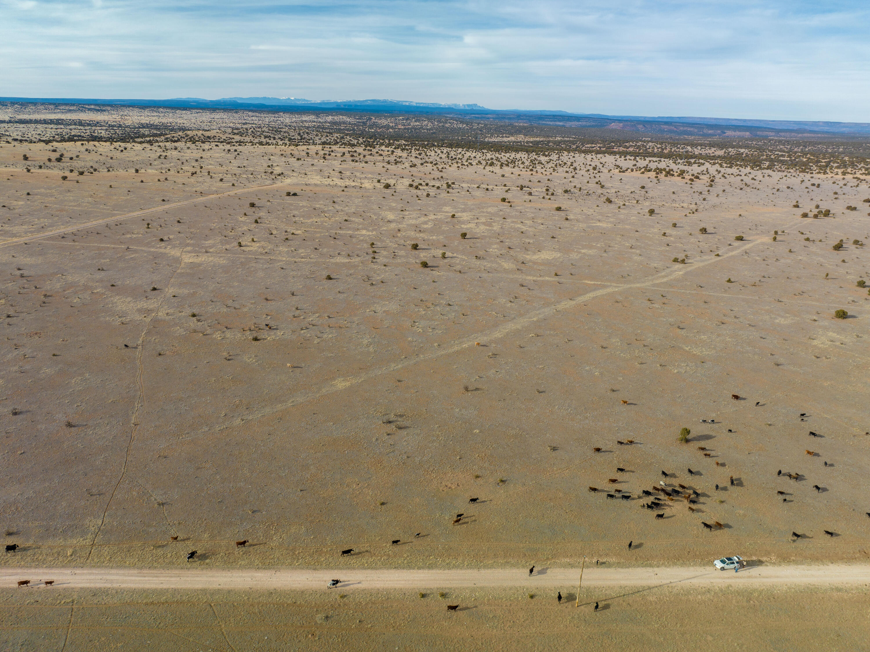 Portillo Creek Ranch, Tract 12