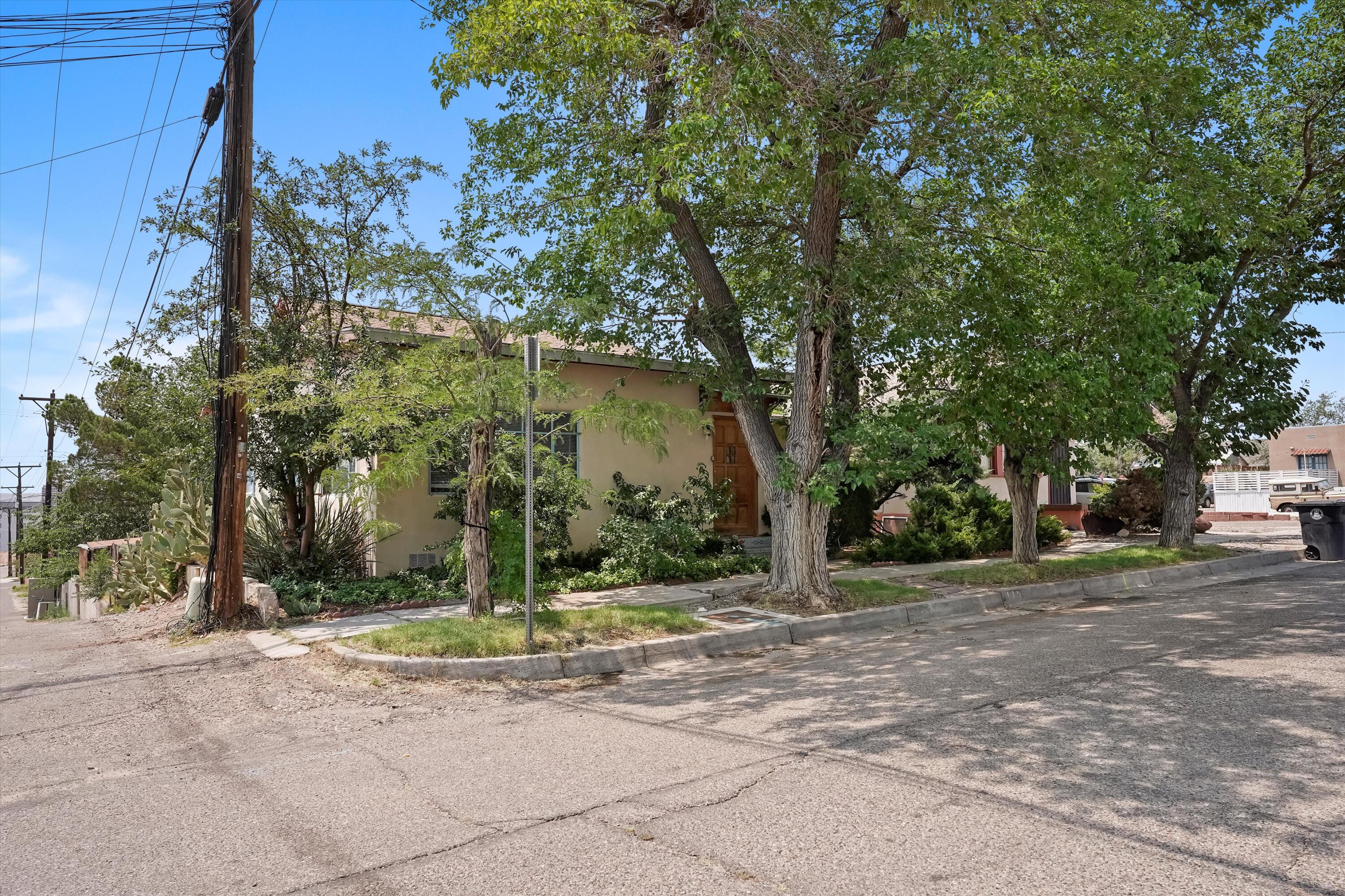 115 MAPLE Street NE