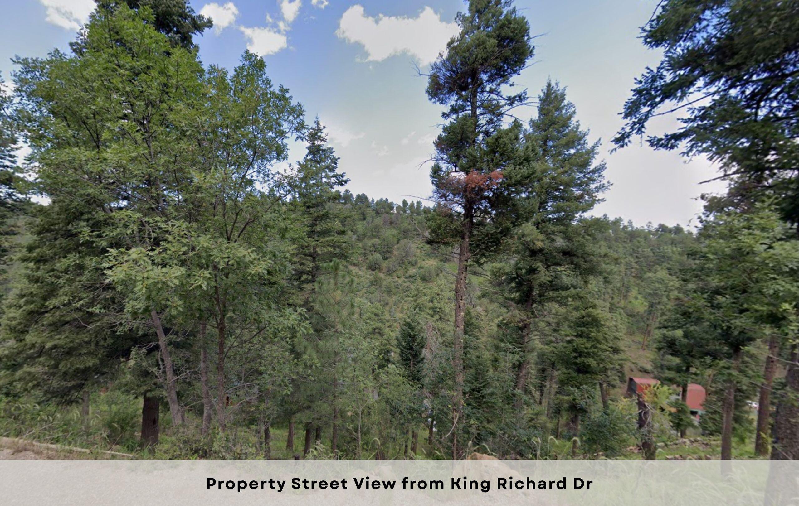 111 King Richard Drive