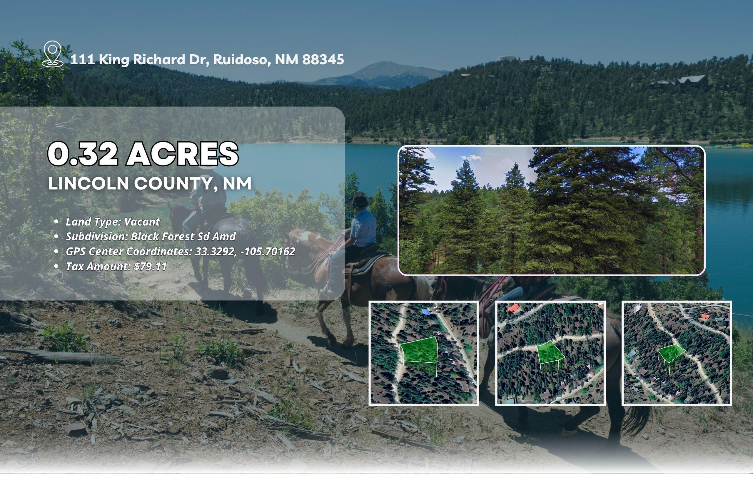 111 King Richard Drive