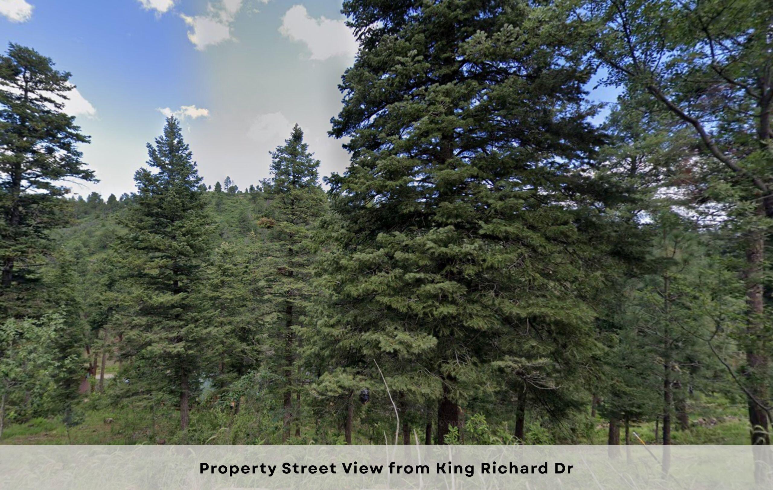 111 King Richard Drive