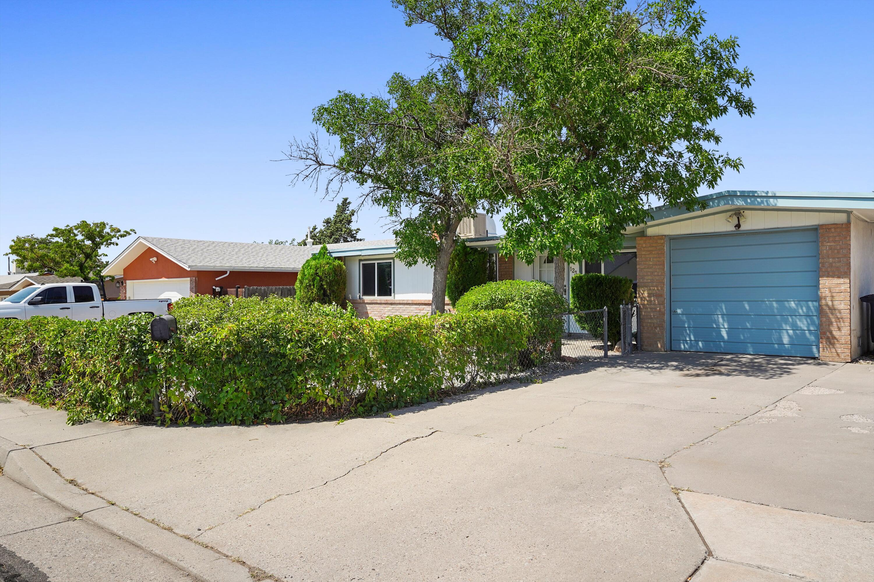 1237 HUPMOBILE Drive NE