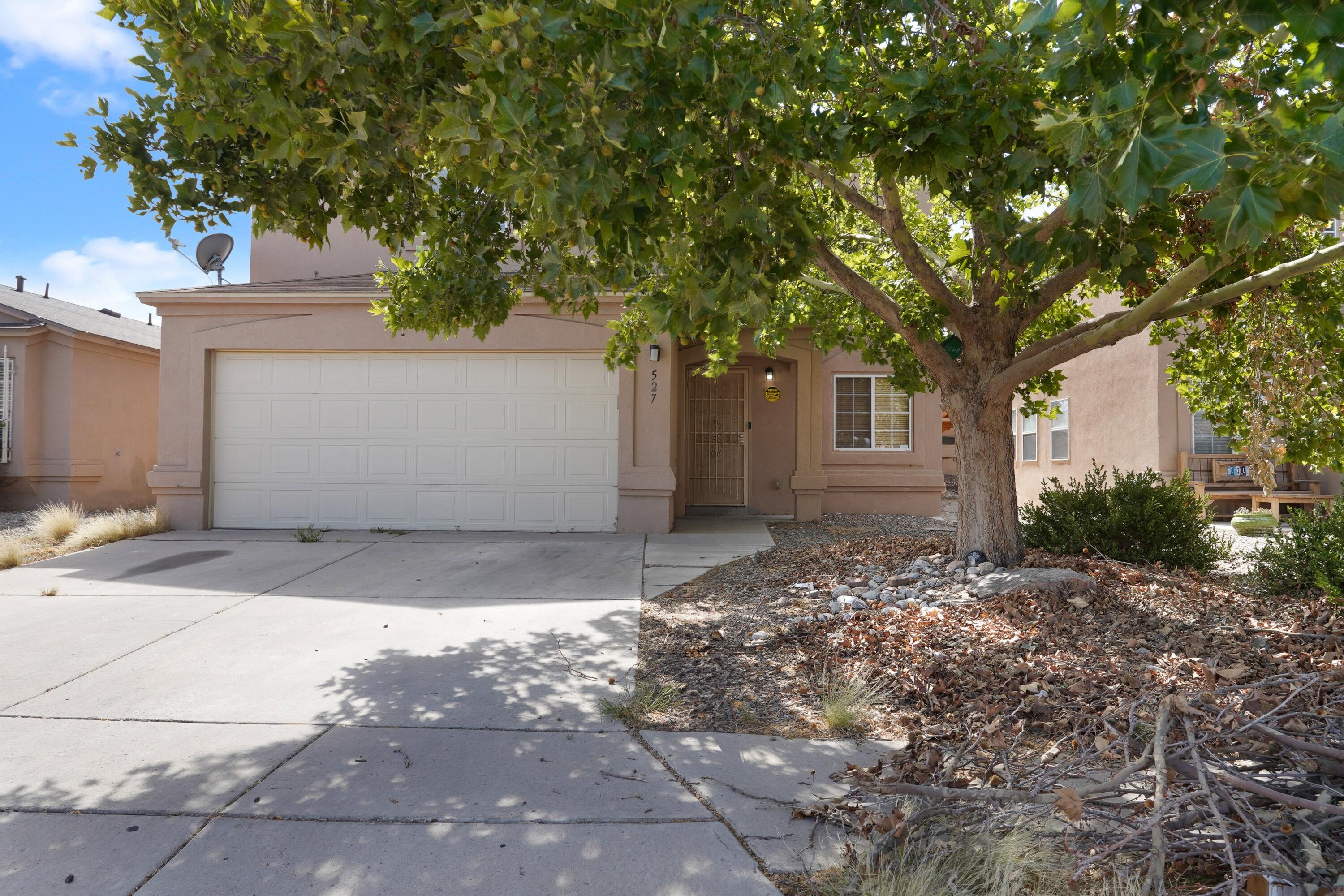 527 WHISPER MESA Street SW