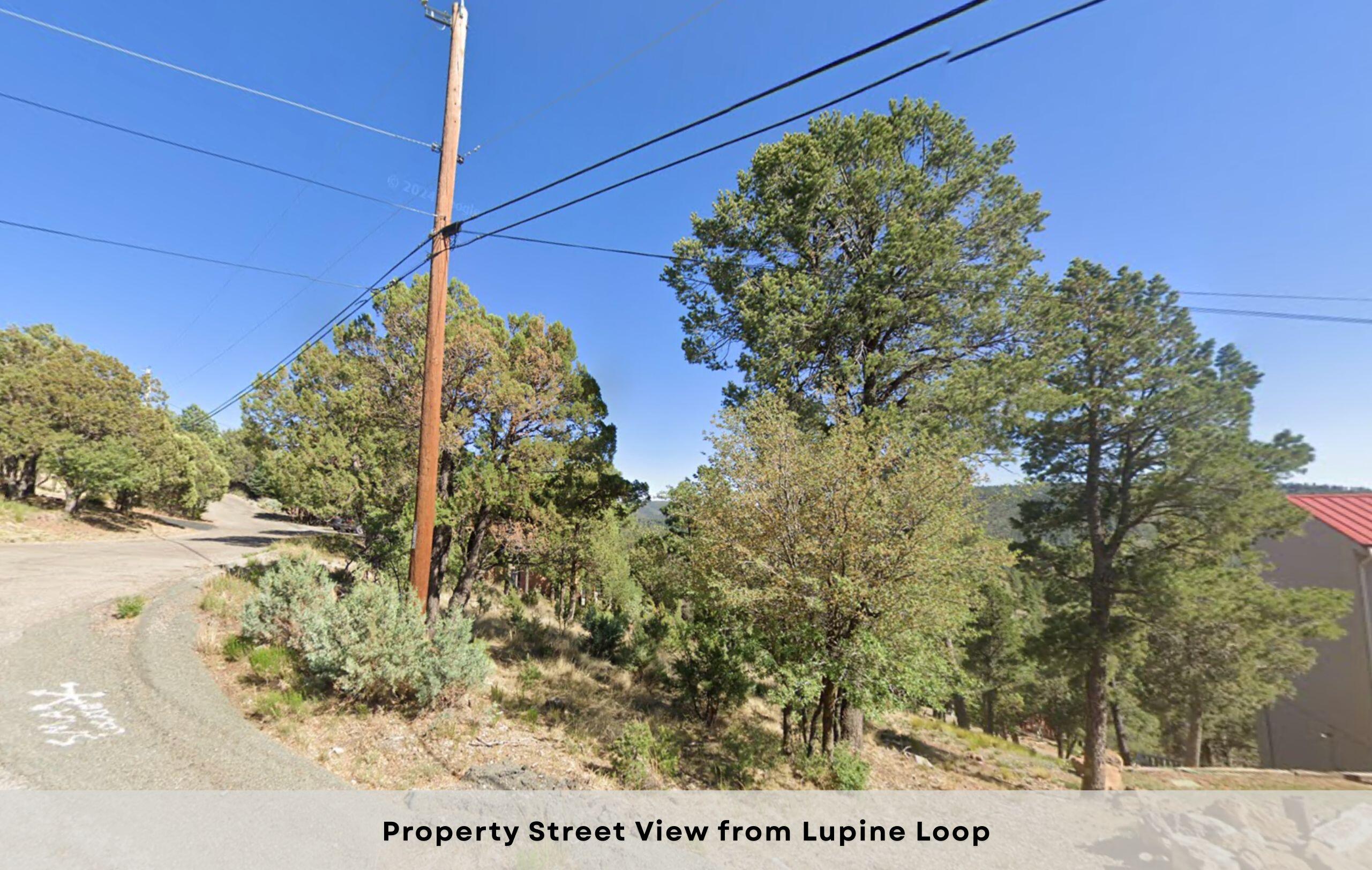 106 Lupine Loop