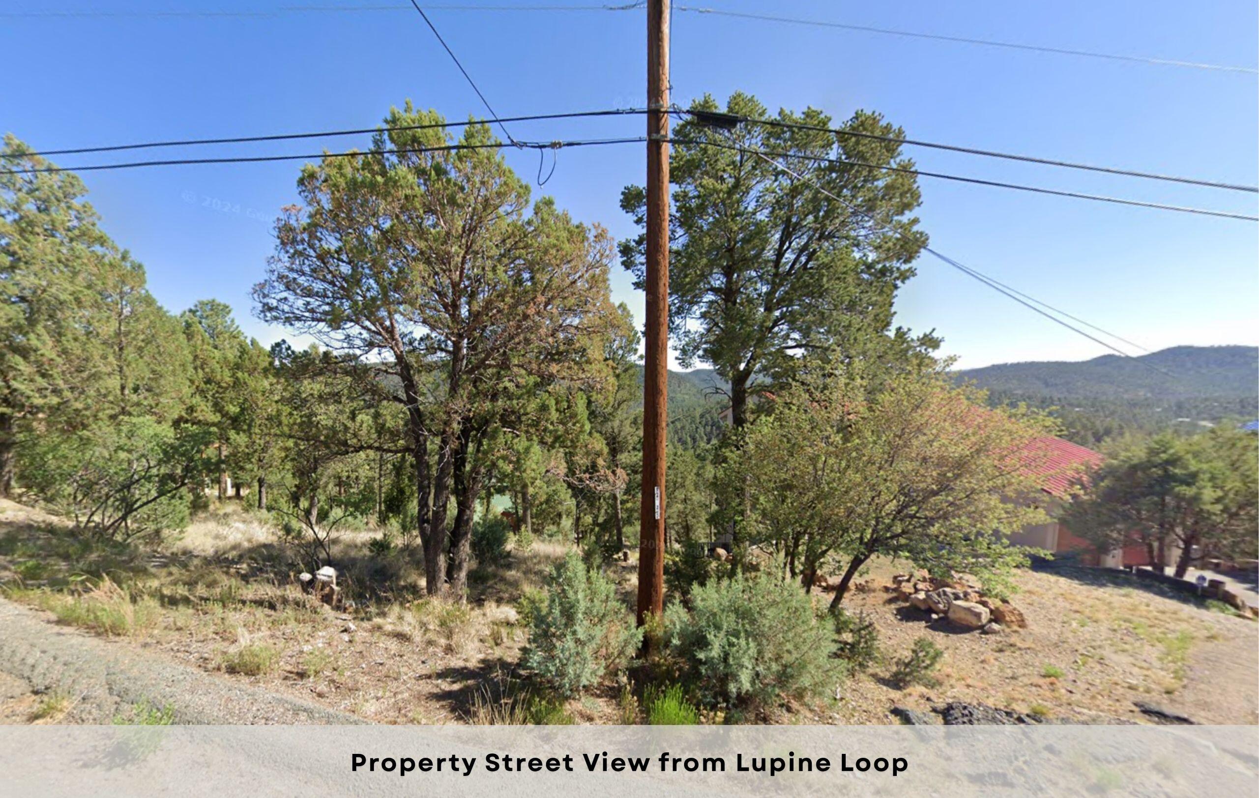 106 Lupine Loop