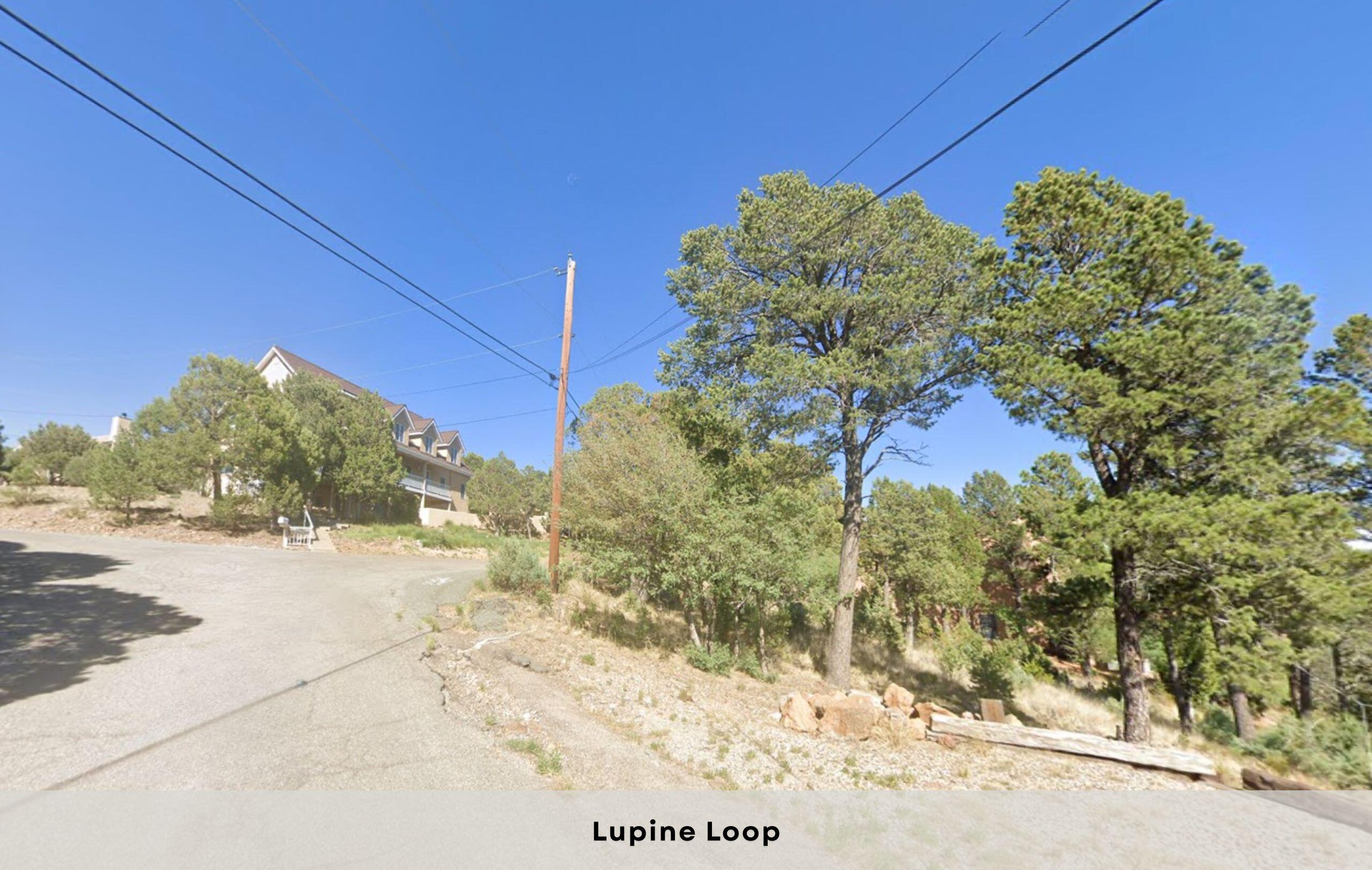 106 Lupine Loop